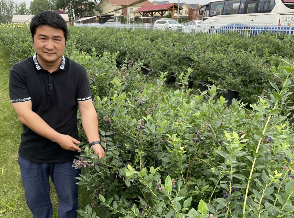 Mr. Bai is the owner of 58 Blueberry Garden