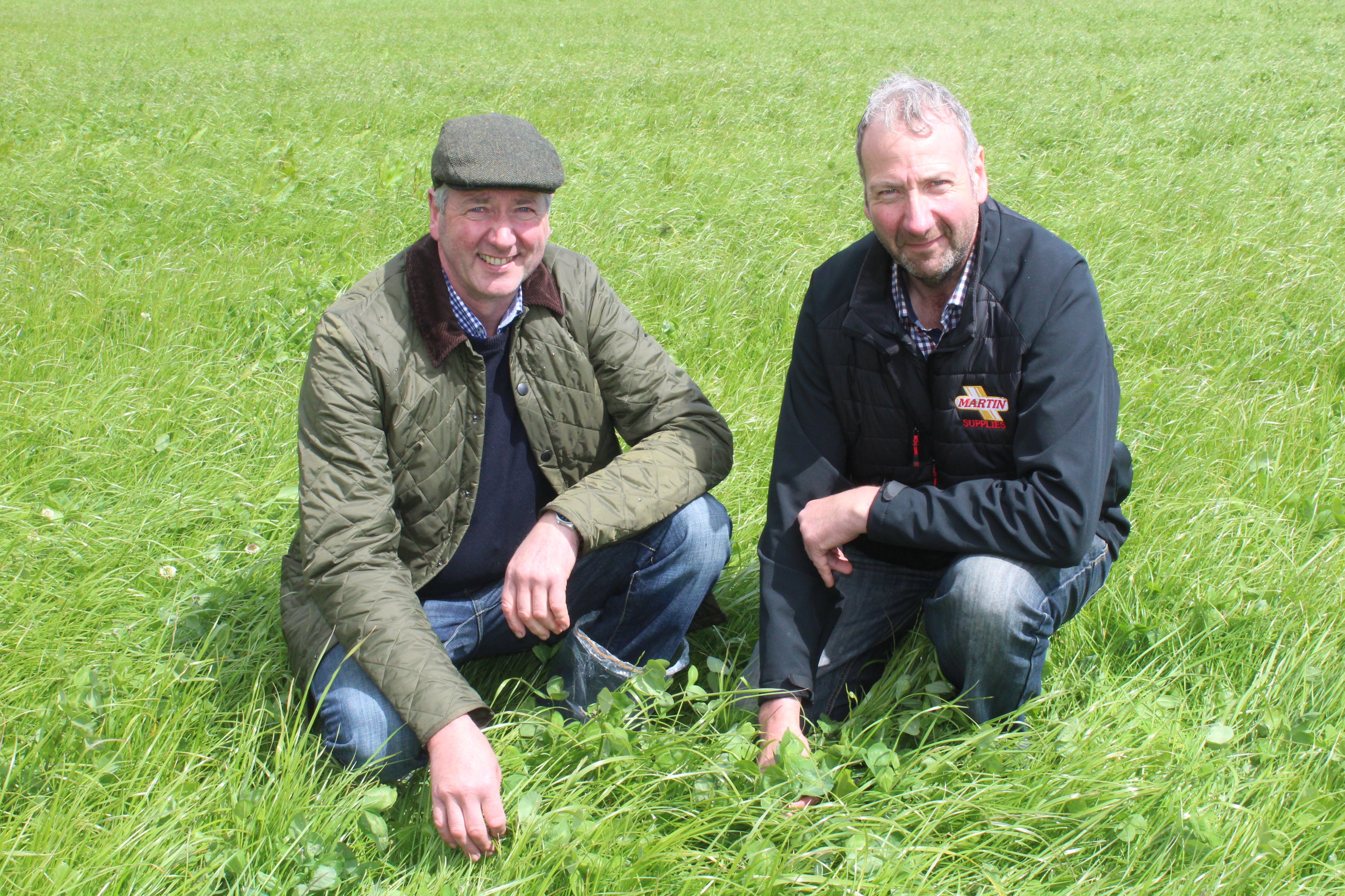 Brothers Nigel and Geoffrey Kinnear from Keady in Co. Armagh took part in the red clover farm walk