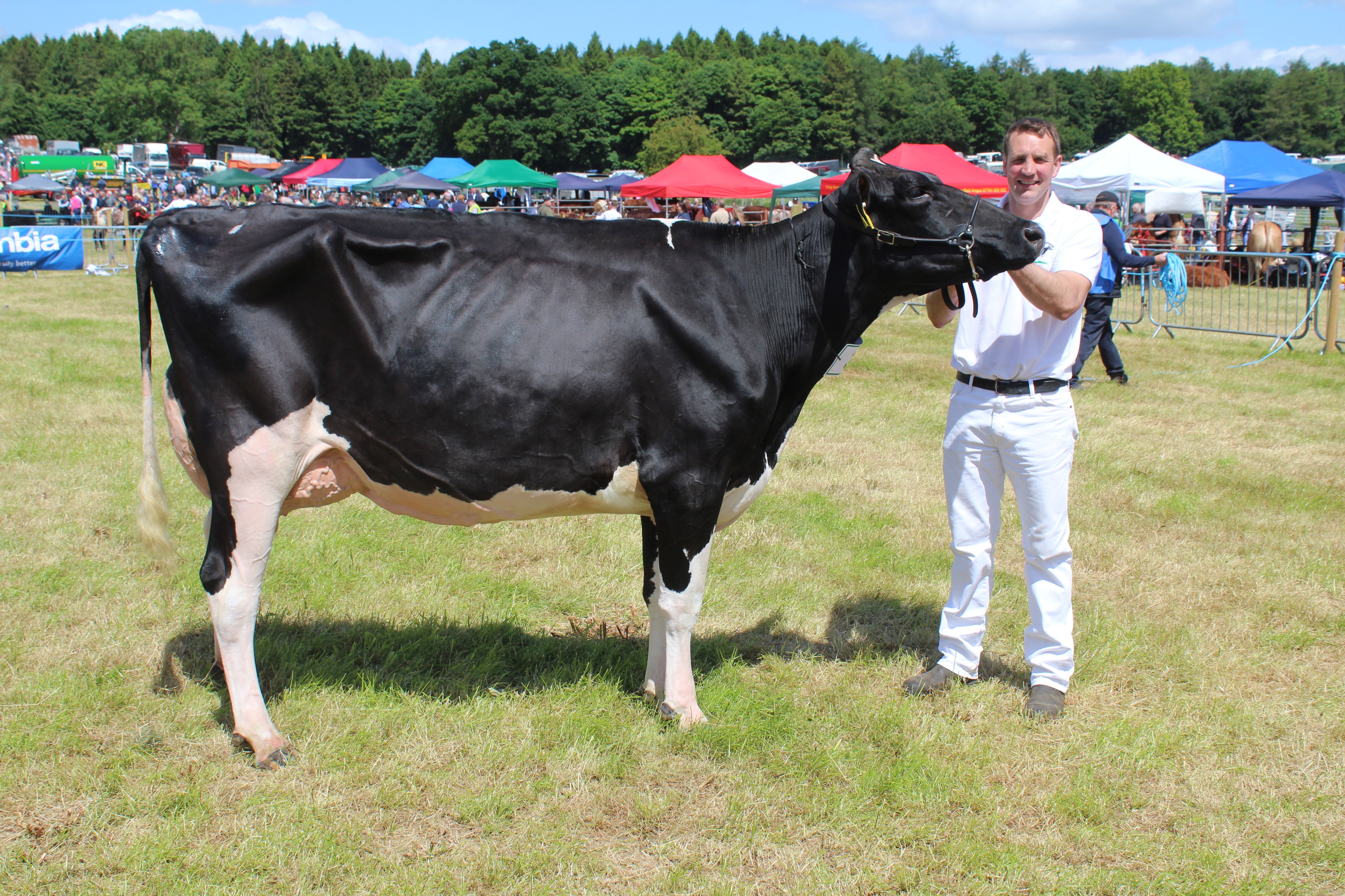 James Morton, from Armagh, with the Holstein reserve champion at Armagh Show 2024