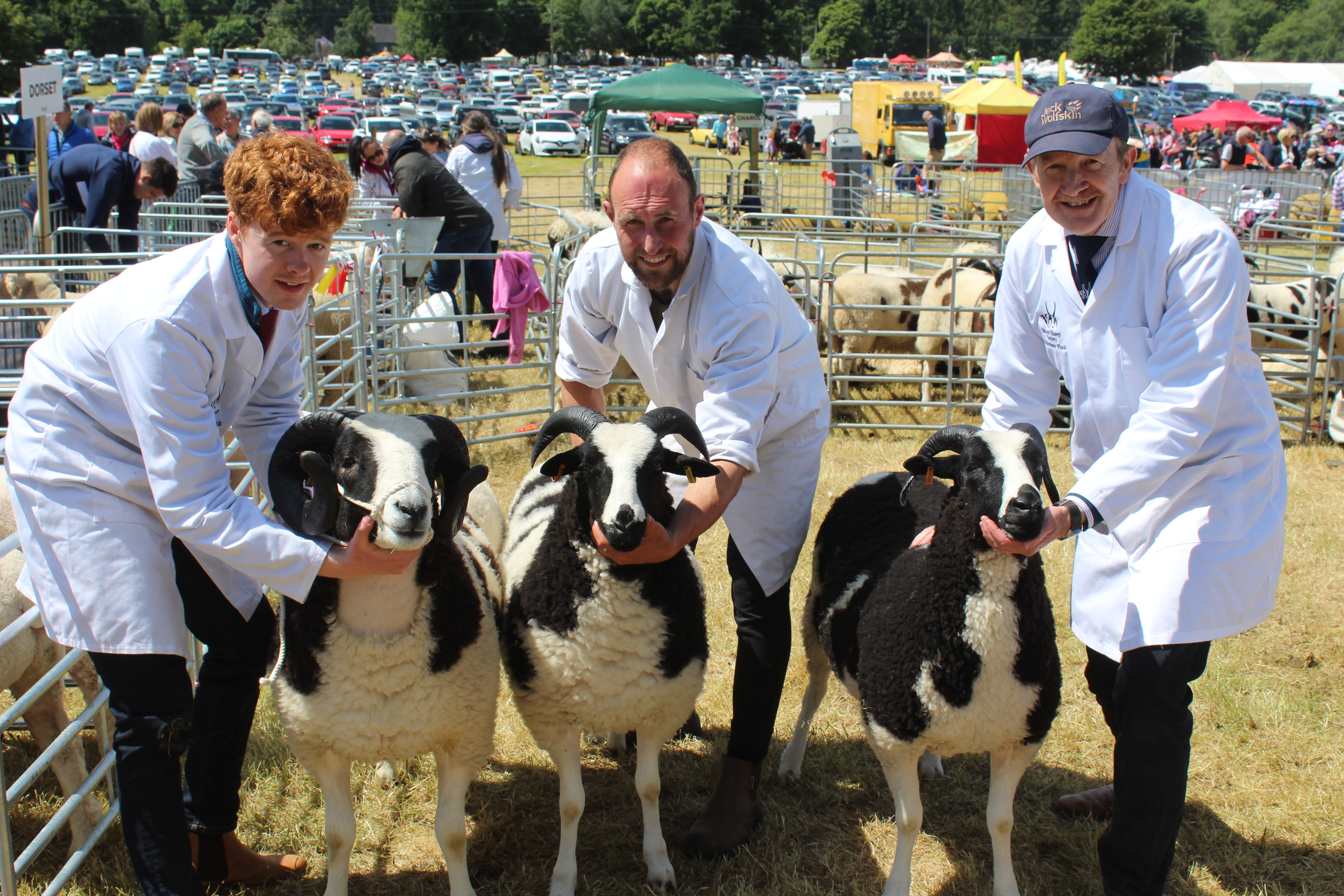 Getting ready for the ring at Armagh Show 2024 (l-r): James Maybin, Ballymena; Johnny Harkness, and John Maybin, Ballymena