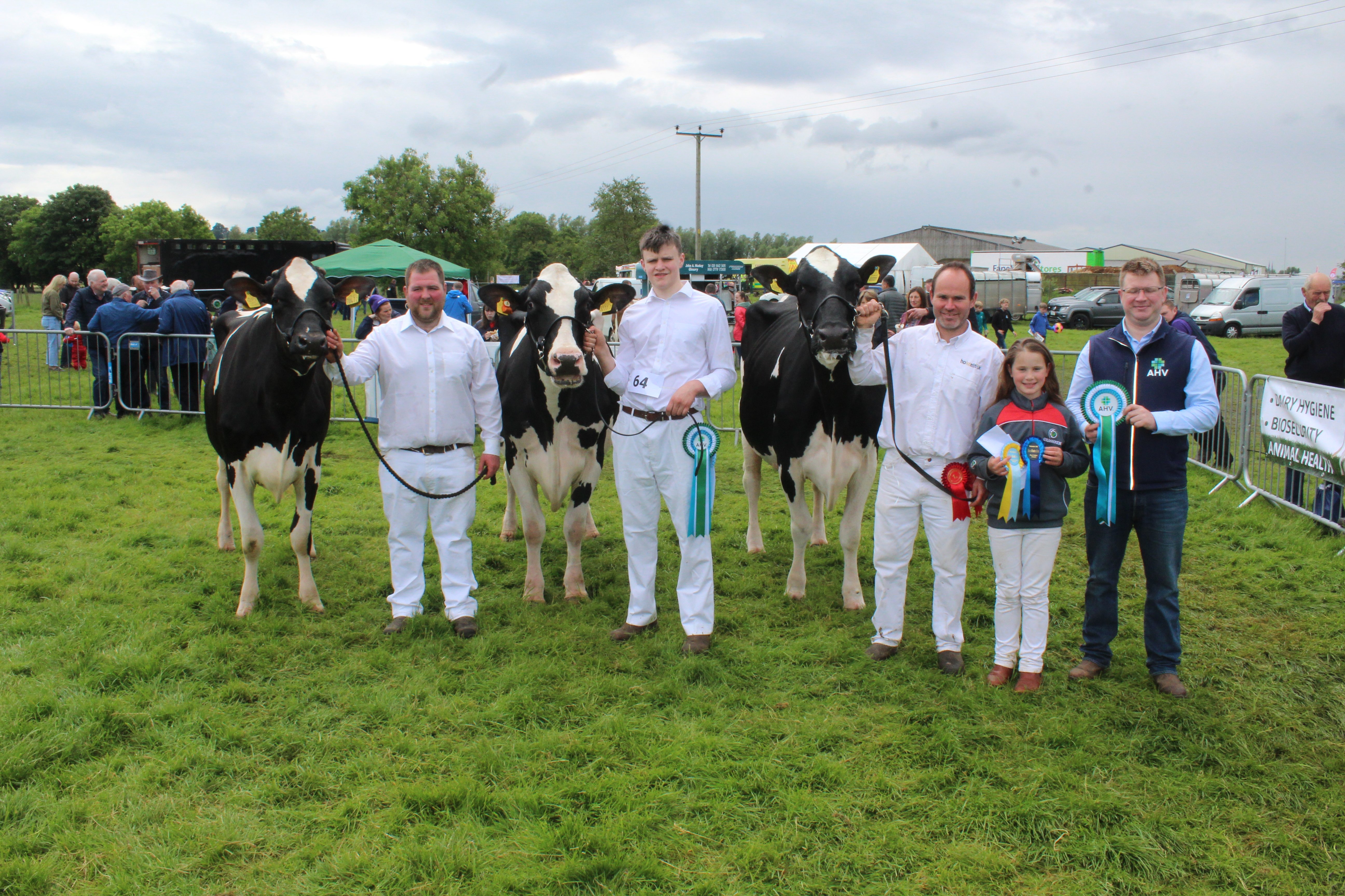 Jason Booth holds the inter-breed dairy champion at Ballymena Show 2024 (right). He was joined by Janes Patton with the inter-breed reserve (centre) and John McLean with the honourable mention in the Holstein Championship. Also pictured is Jason's daughter, Emily and James Magee, from AHV