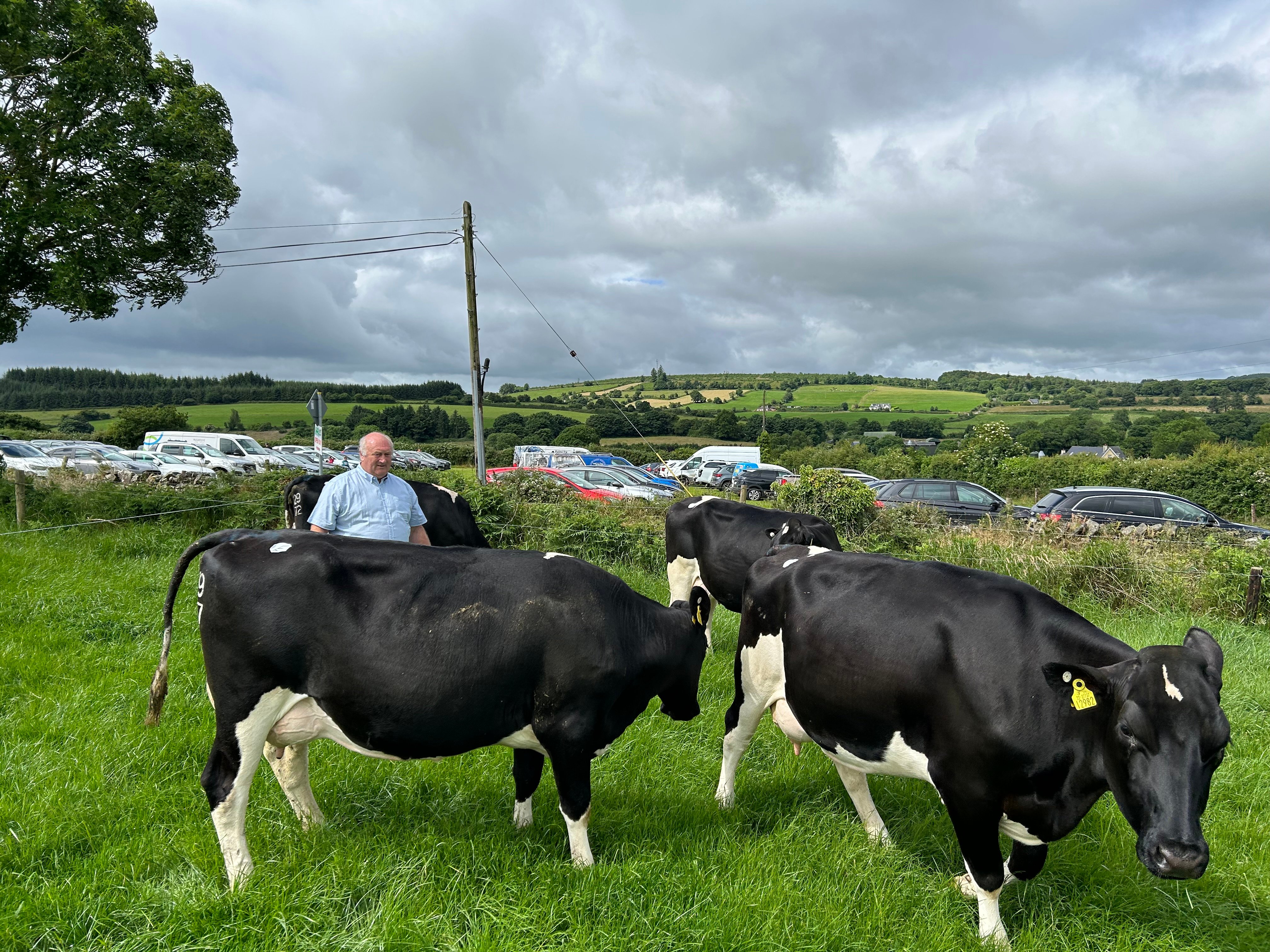 Eamonn Coleman judging the Carrickshock Herd