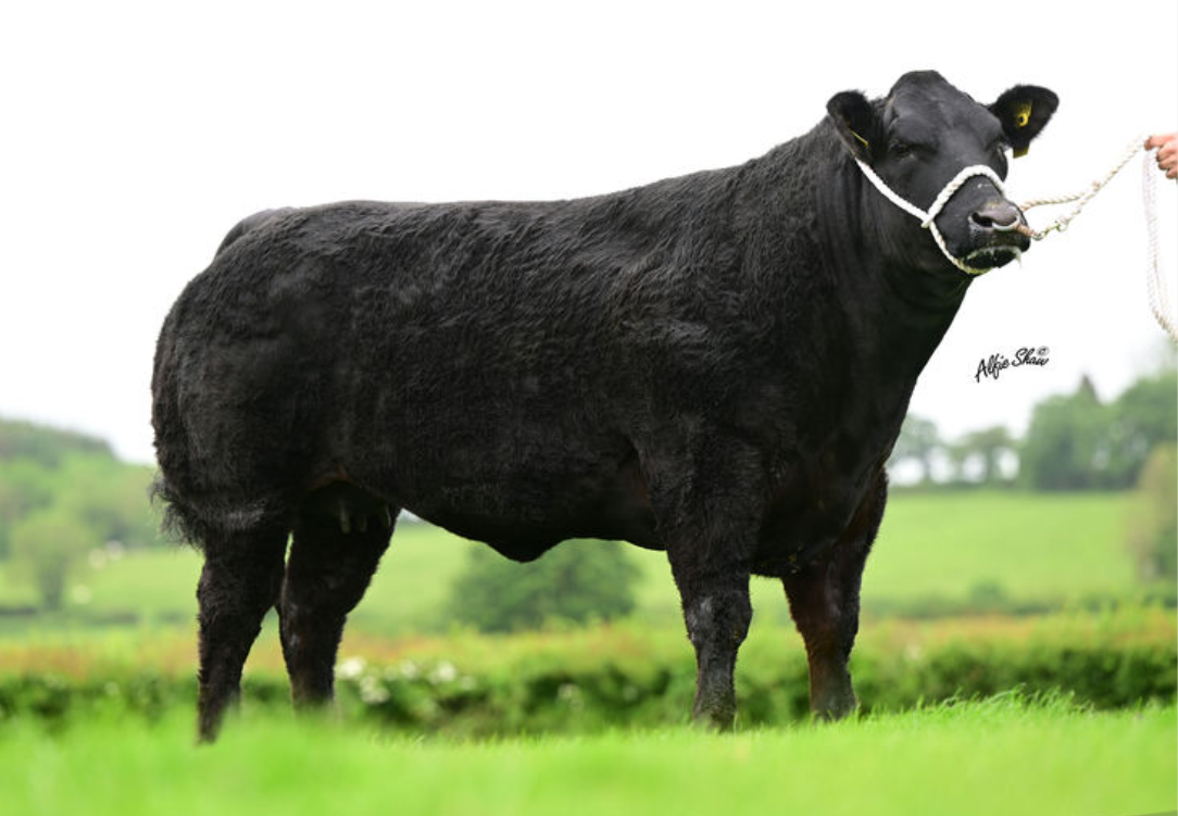 Lot 110 sold for £18,000. Image source: MartEye