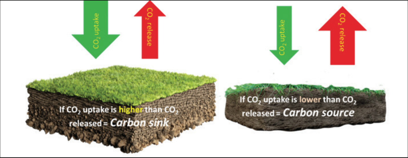 Soil acting as a C sink and a C source. Image source: Teagasc - 'Carbon sequestration – a question of scale'