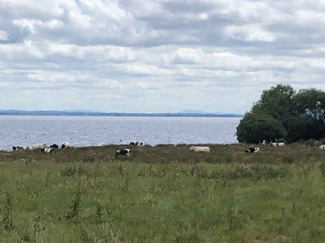 On the shores of Lough Neagh in Co.Tyrone
