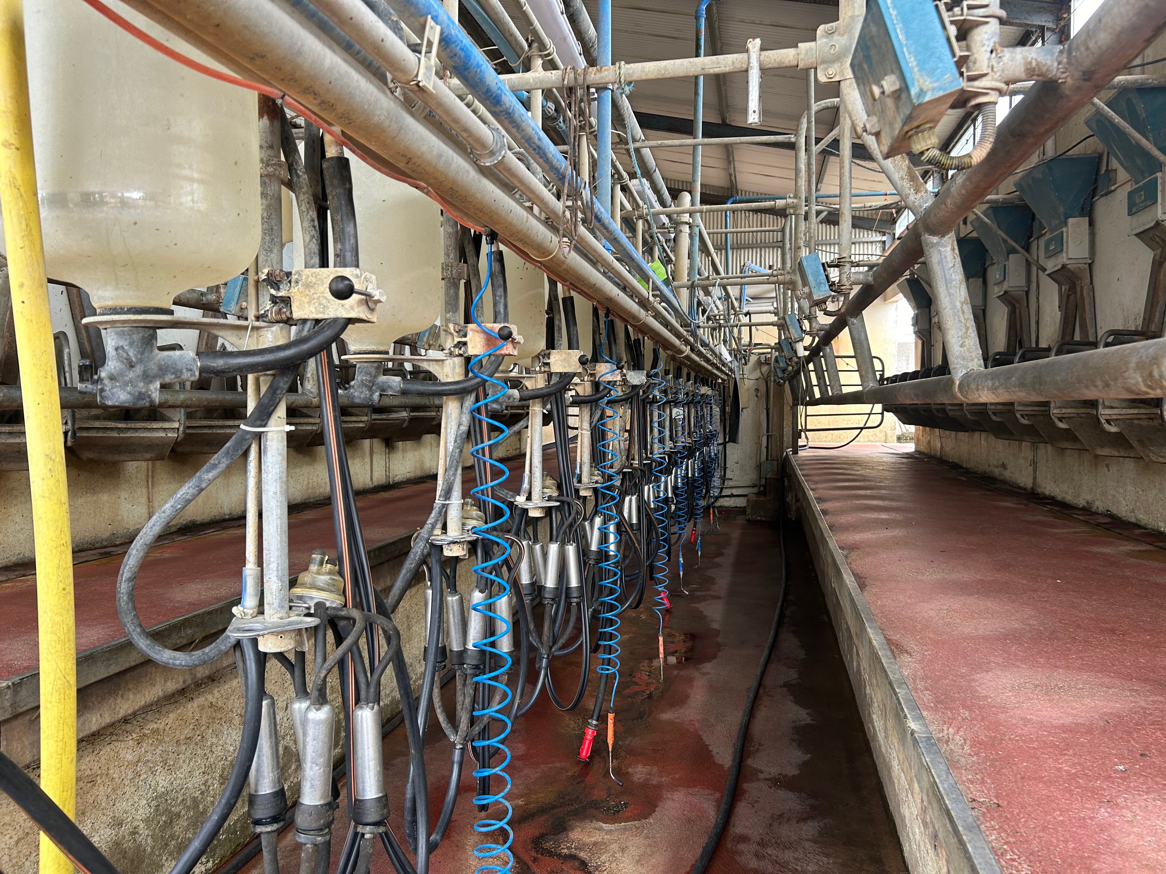 The 16-unit milking parlour on the farm