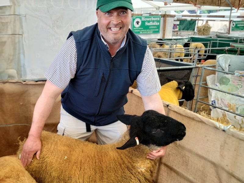ICSA sheep chair, Willie Shaw