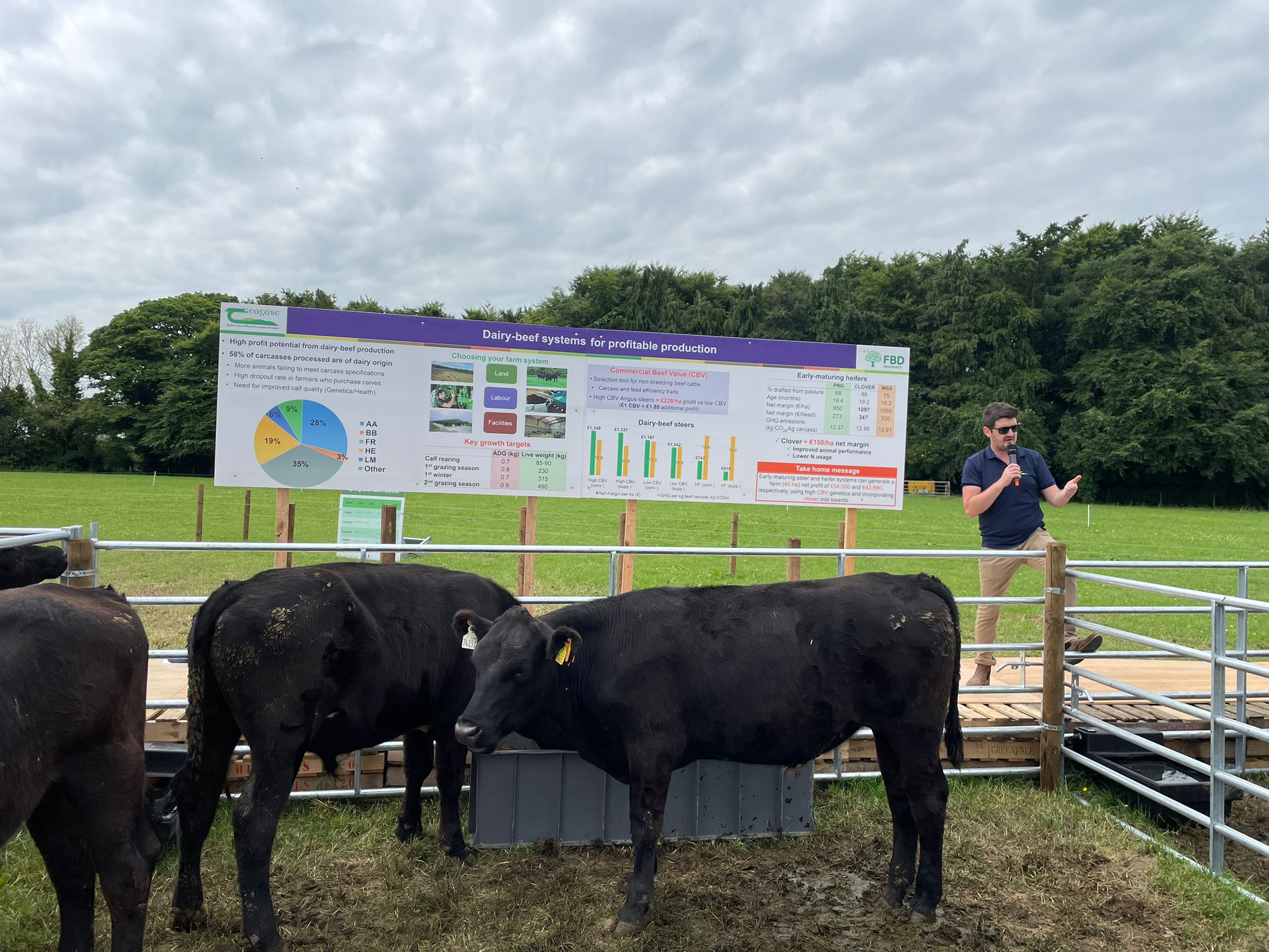 Nicky Byrne of Teagasc speaking at BEEF2024 at Grange