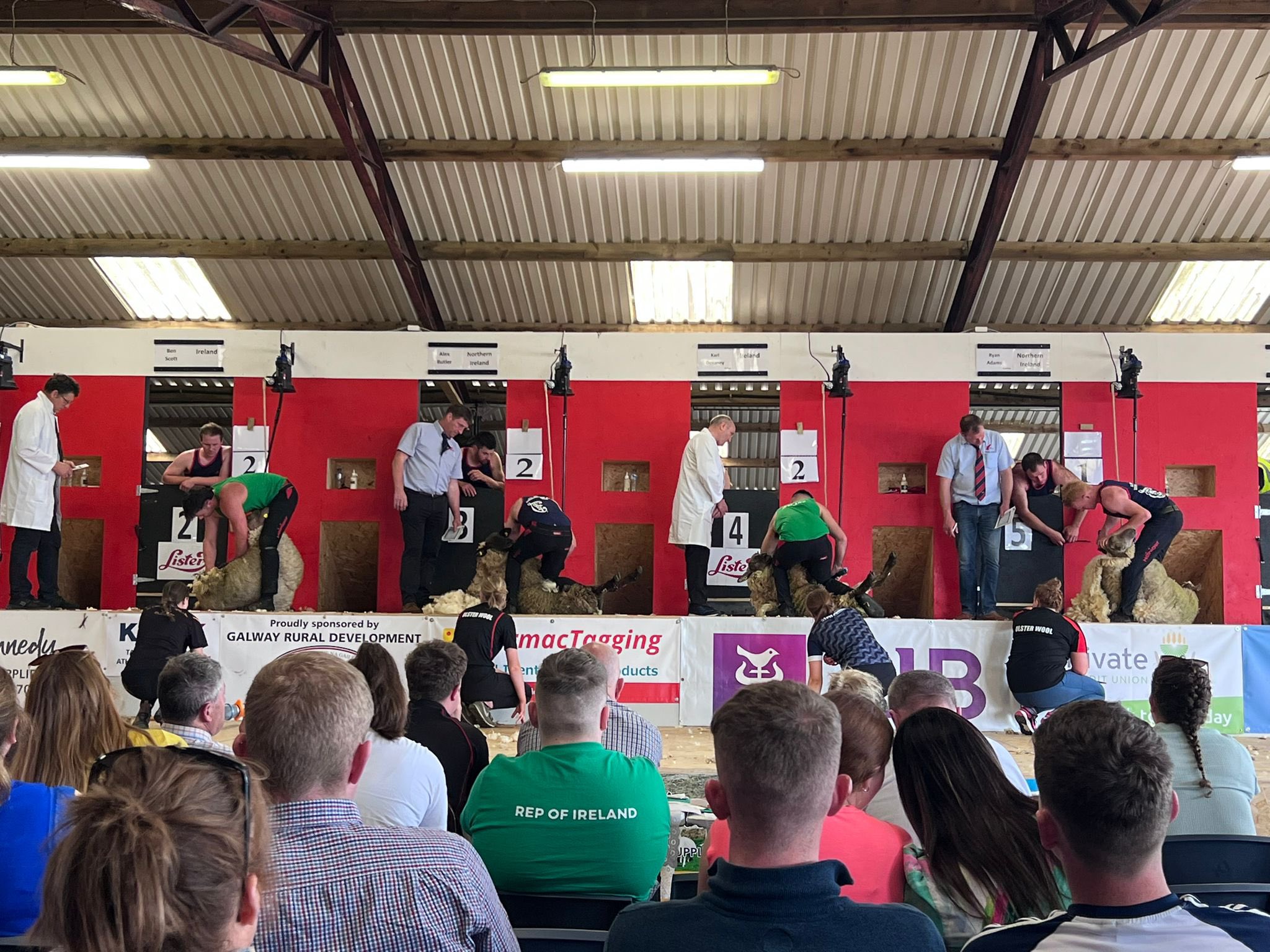 Shearing underway at Mountbellew Source: Lisa Chambers via X