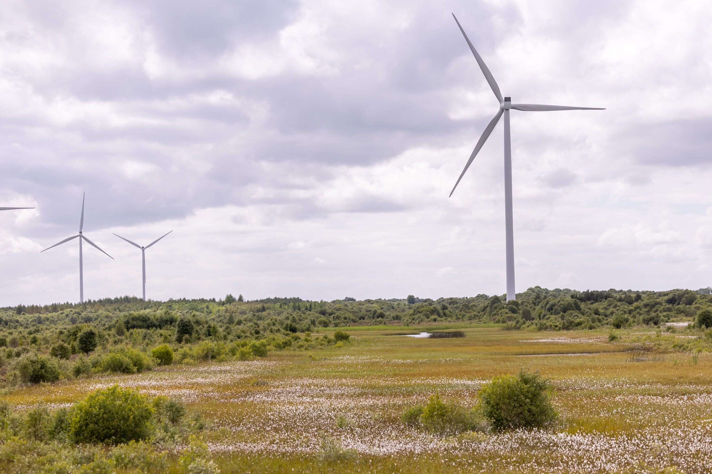 Mountlucas Wind Farm
