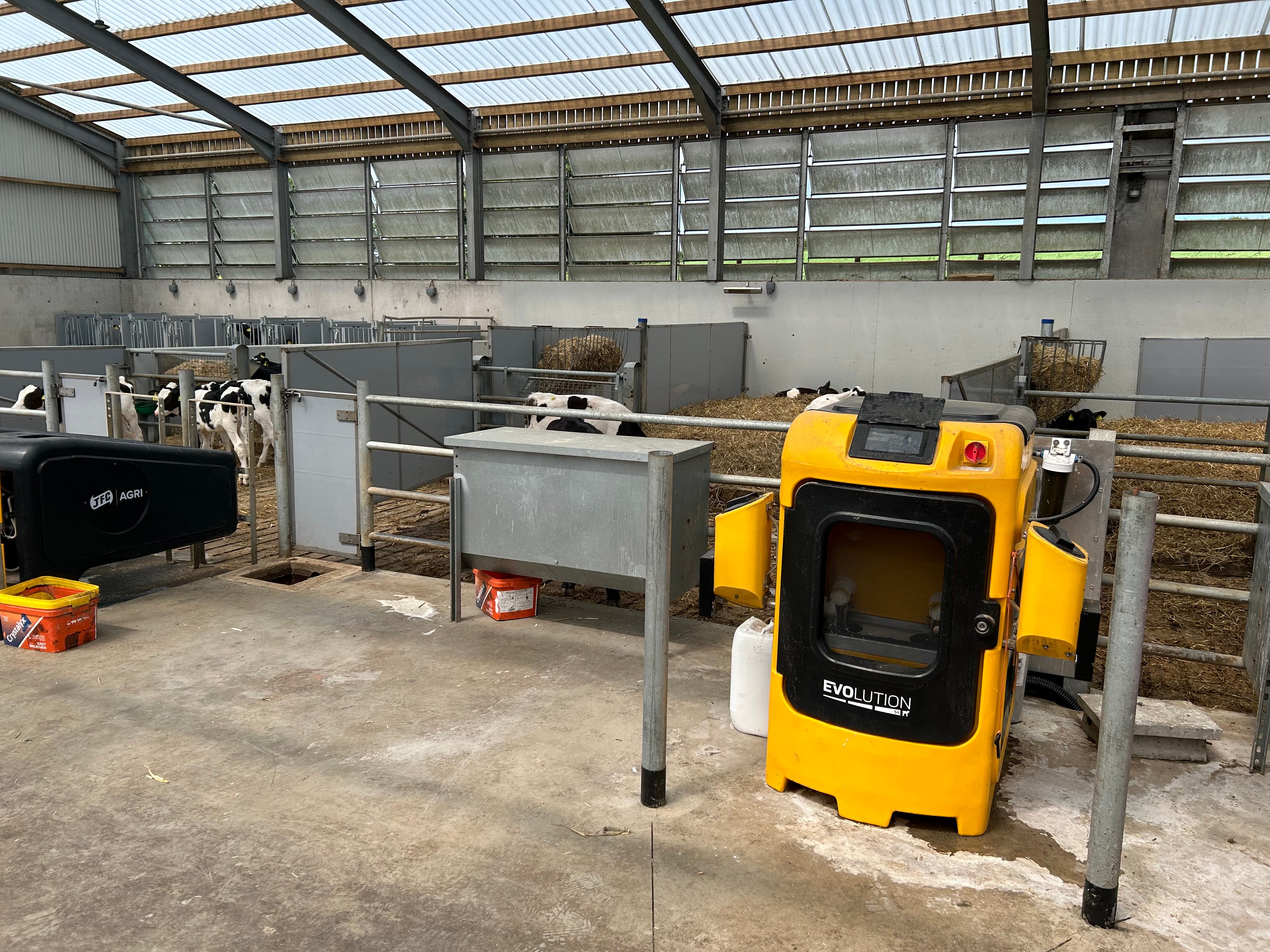 The automatic calf feeders in the calf shed