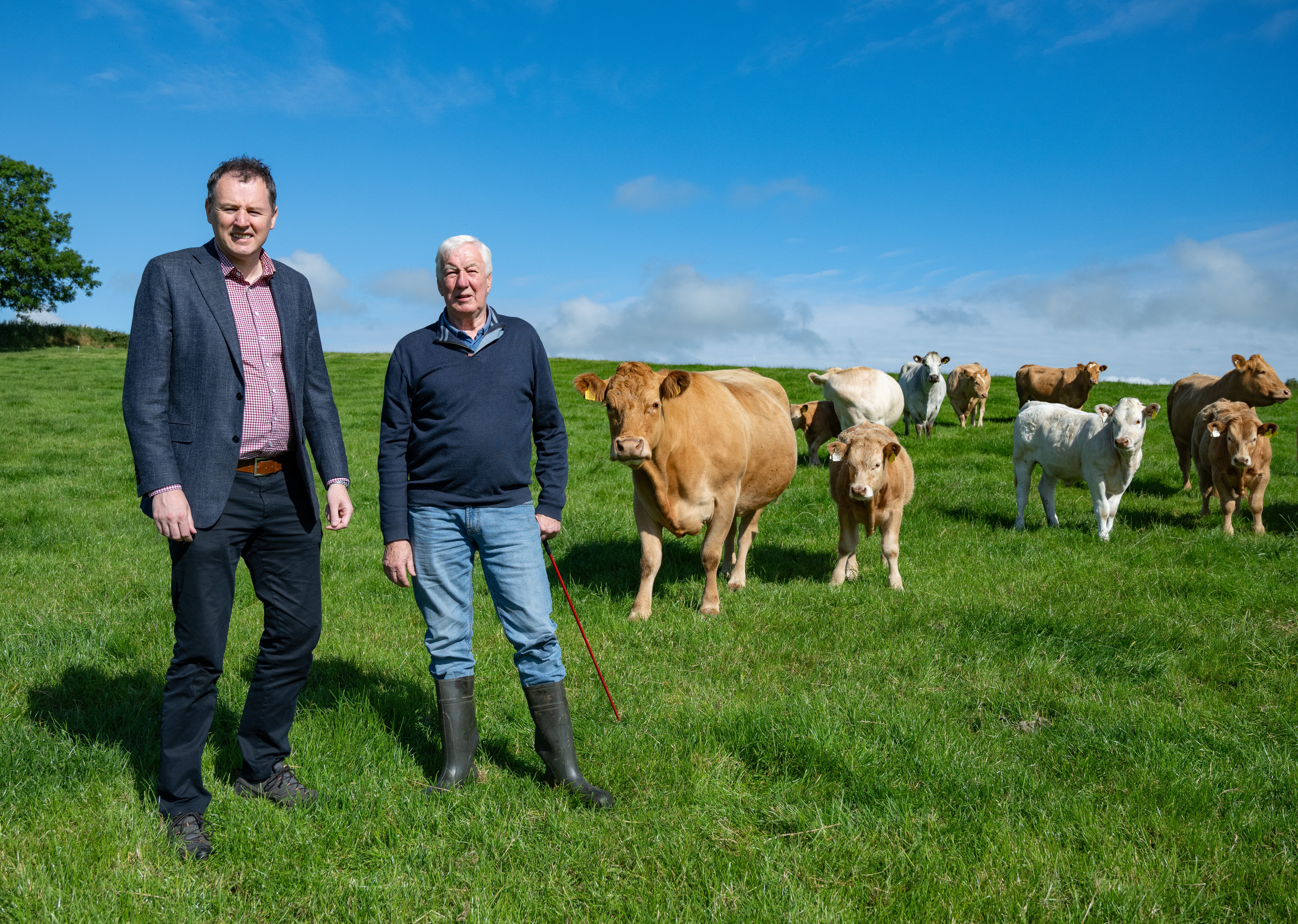 Minister for Agriculture, Marine and Food Charlie McConalogue, on the suckler farm of Raymond Palmer, Castlefinn, Co. Donegal. Image Source: Clive Wasson