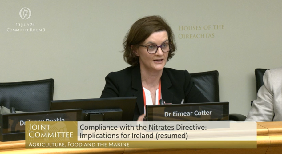 Dr. Eimear Cotter, director of the Office of Evidence and Assessment at the EPA