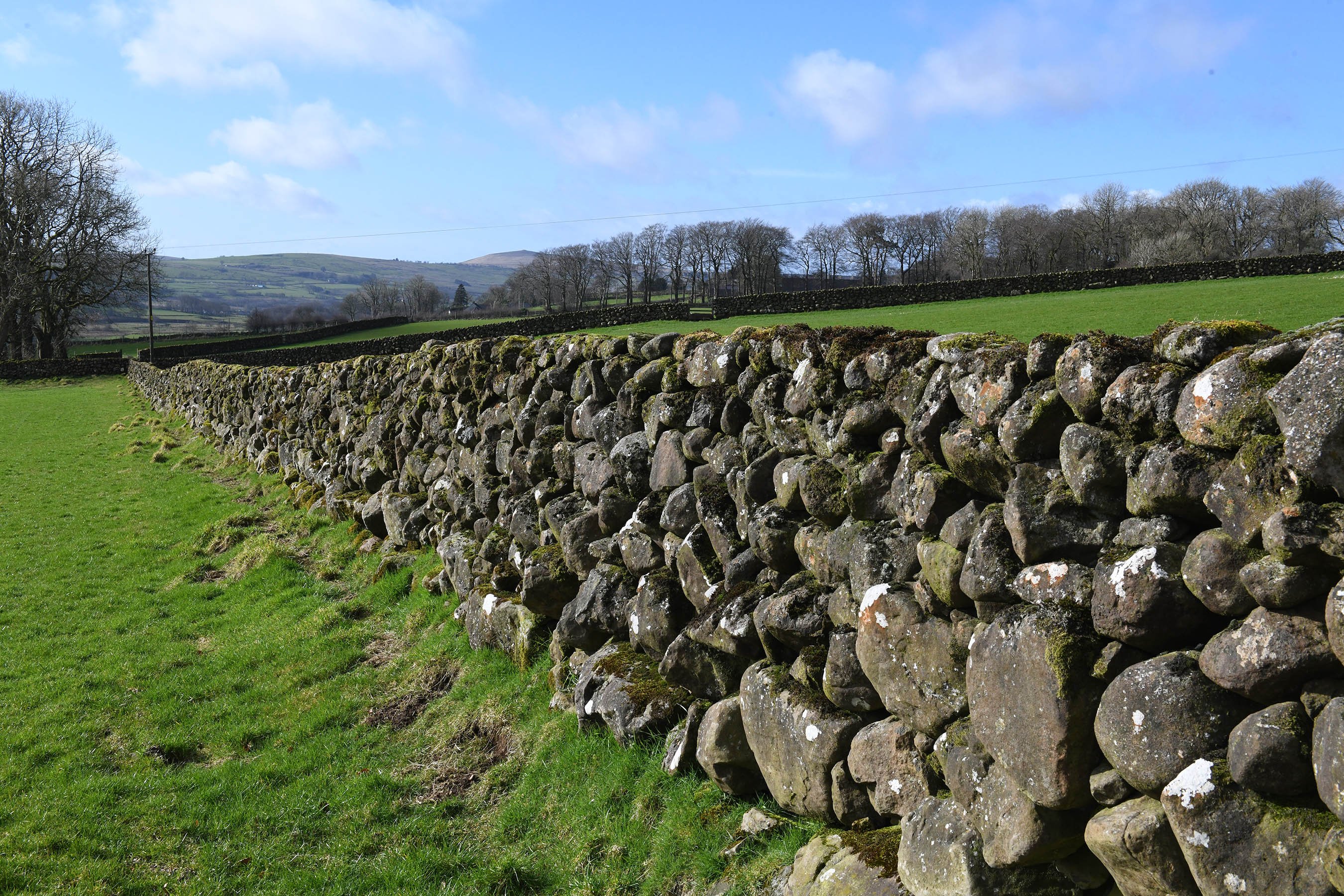 A dry stone wall at the CAFRE Hill Farm, Glenwherry. Source: CAFRE