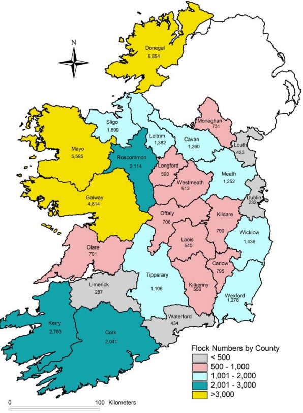 Flock numbers by county Source: DAFM