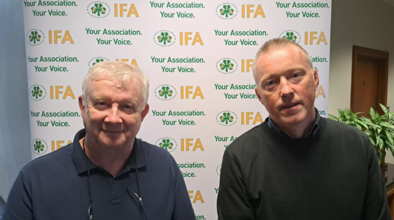 Padraig Stapleton and Jason Fleming. Source: IFA