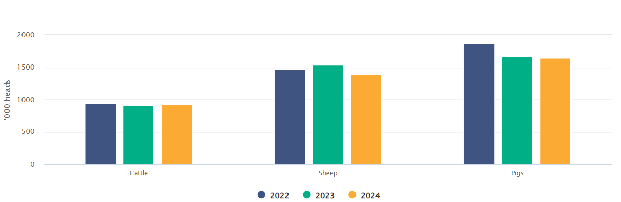 January to June 2024 slaughterings Source: CSO