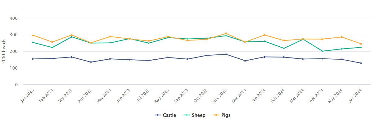 Monthly slaughterings 2023-2024 Source: CSO