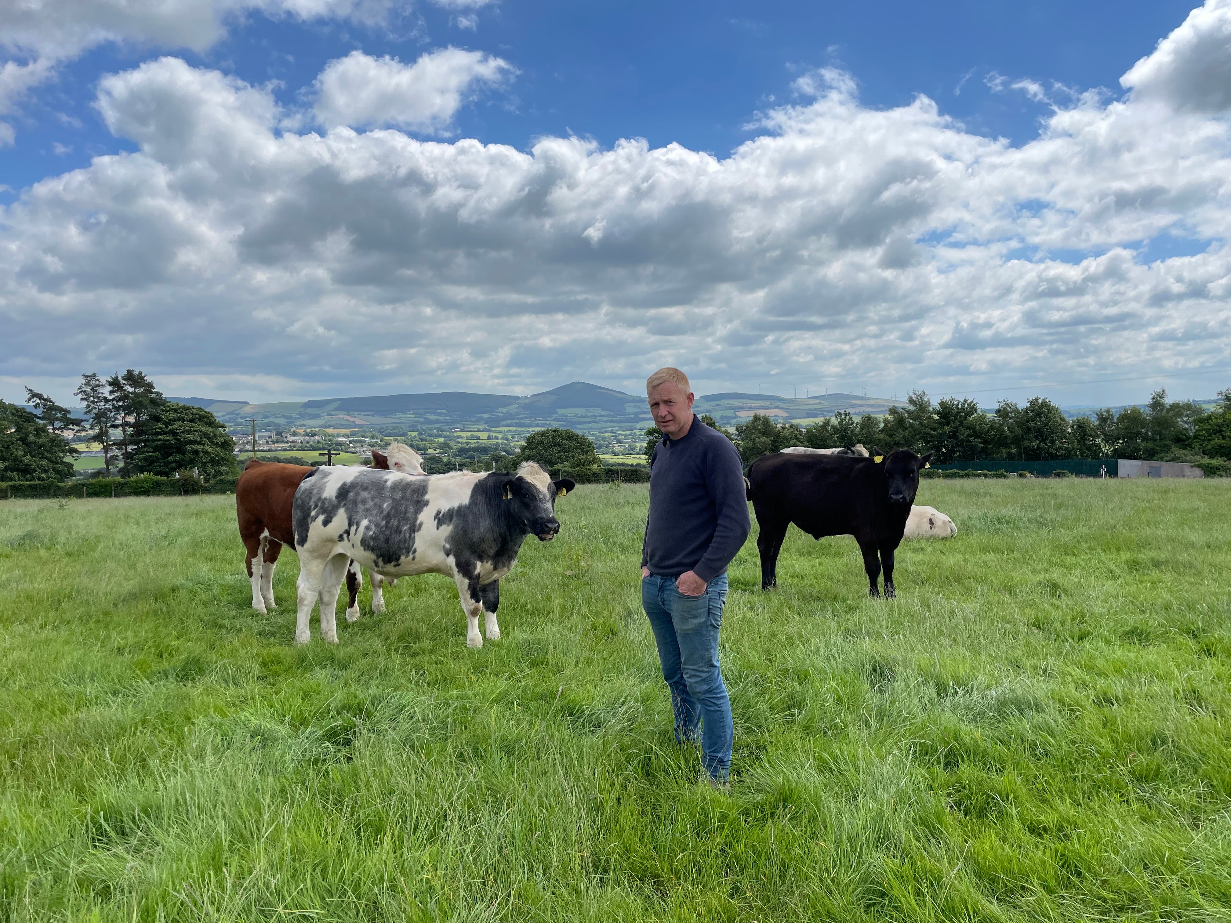 2023-born dairy-beef steers on the farm