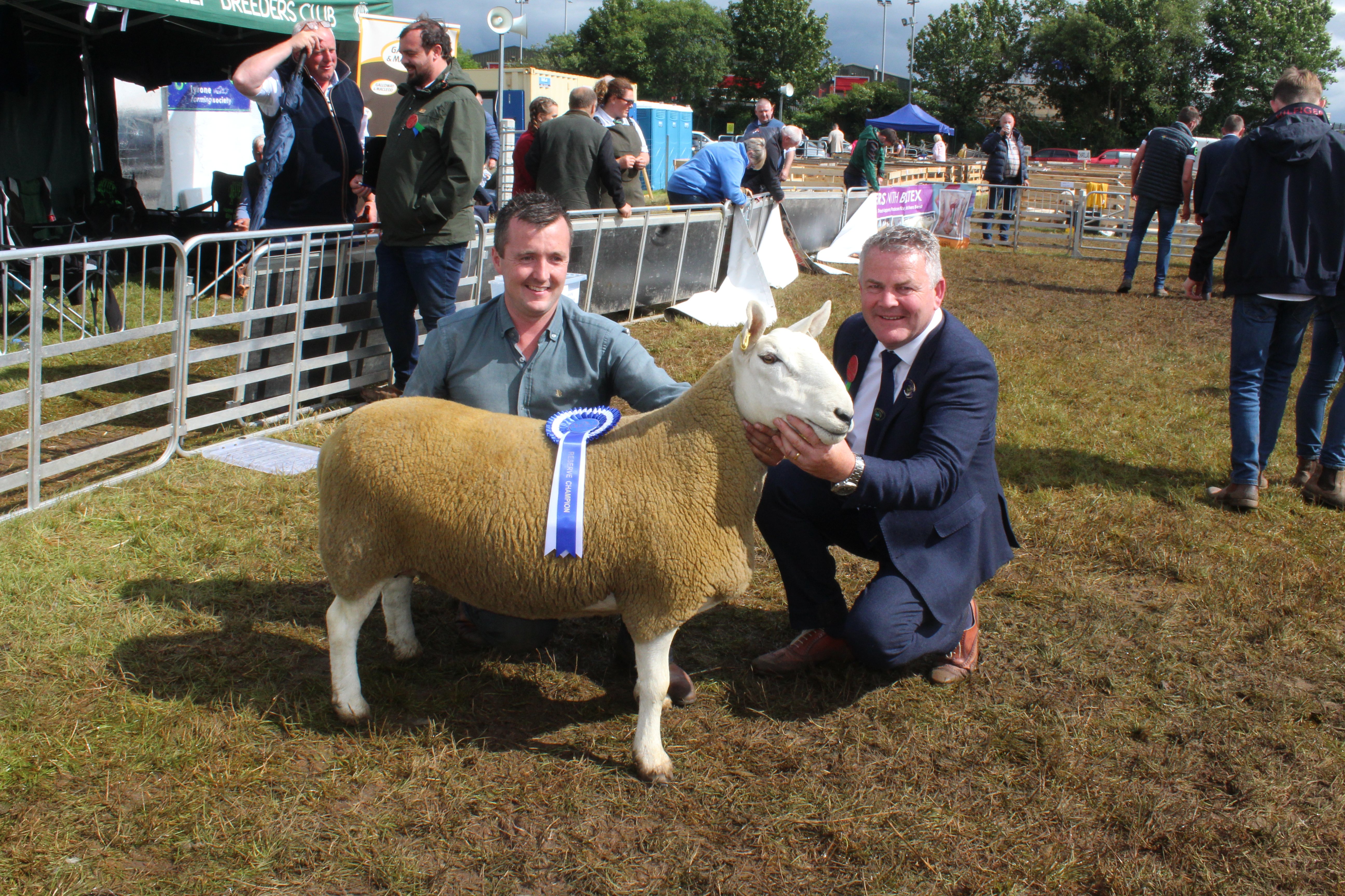 Tommy Harkin (right), chief sheep steward at Omagh Show, congratulates James Murnion, from Kilkeel in Co. Down on winning the North Country Cheviot Championship and sheep inter-breed reserve at Omagh Show 2024