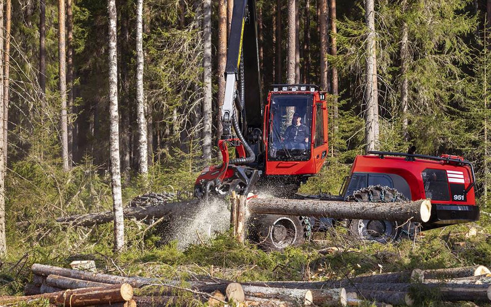 A forestry harvester stripping a trunk of branches and sawing to length