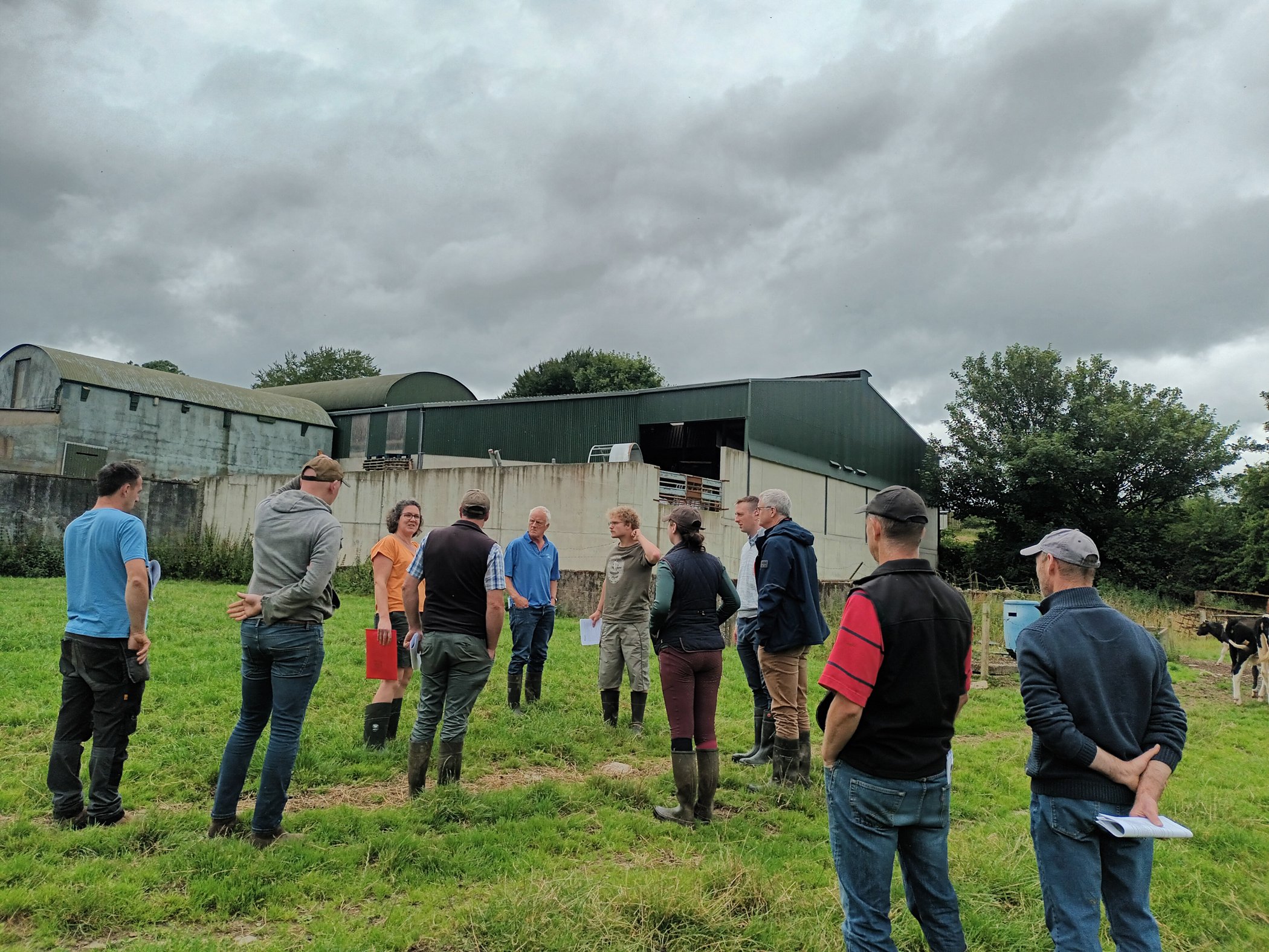 Farmer Cheryl Poole showcases the nesting boxes placed on the farm to protect under threat bats and other wildlife. Image source: Tirlán