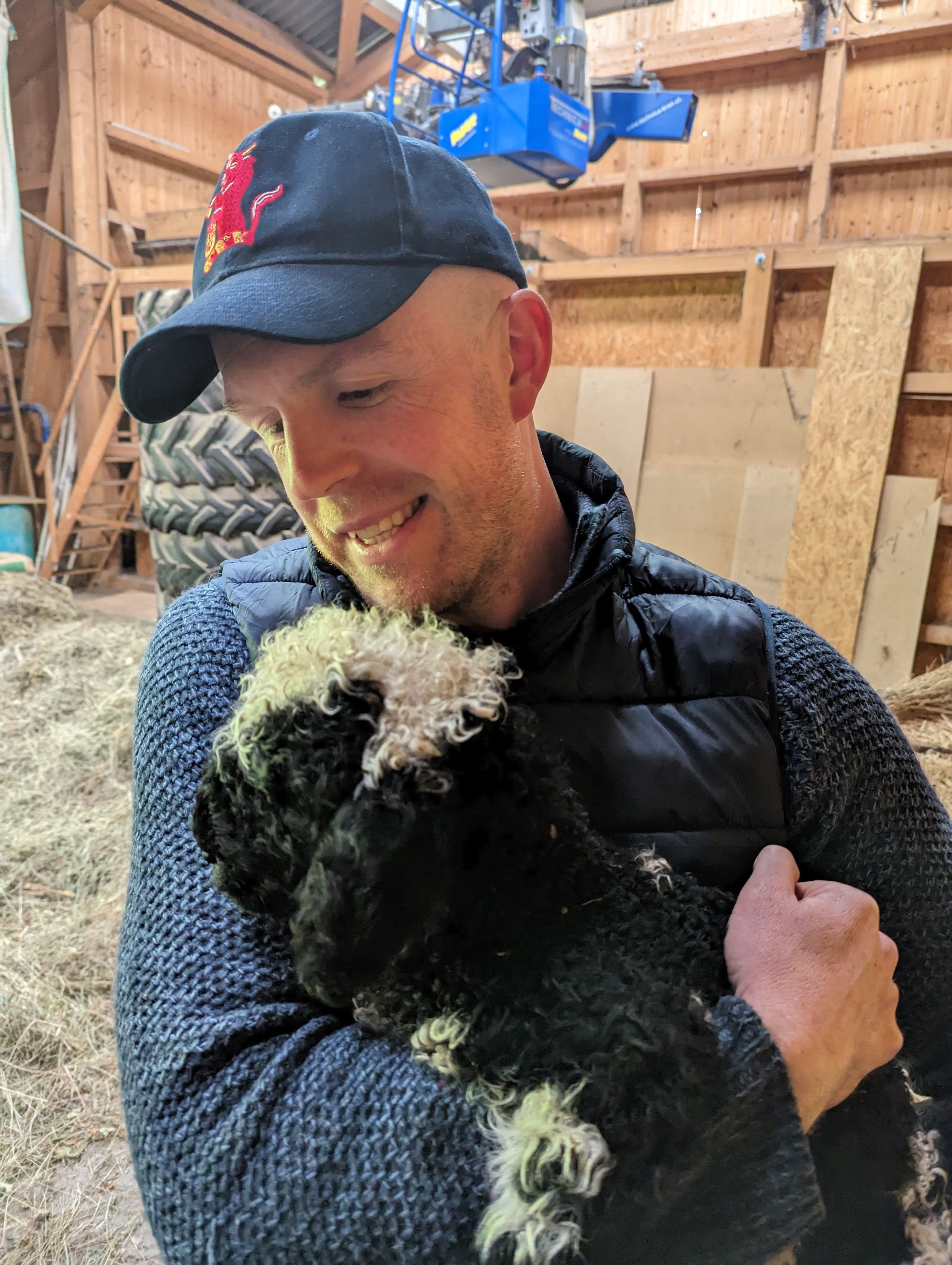 Dr. Hanson checking on sheep in a valley in Switzerland where wolves are returning. Image credit: Sarah Zippert