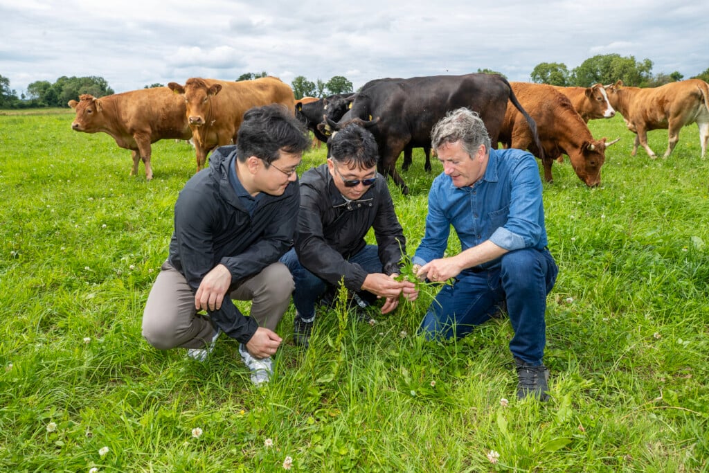 Co. Tipperary's John Purcell pictured with South Korean beef buyers Source: Bord Bia