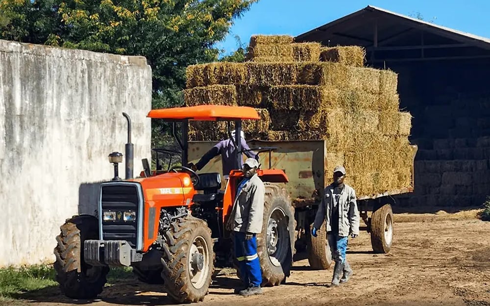 Deutz and TAFE believe that the partnership will help them both i, developing markets
