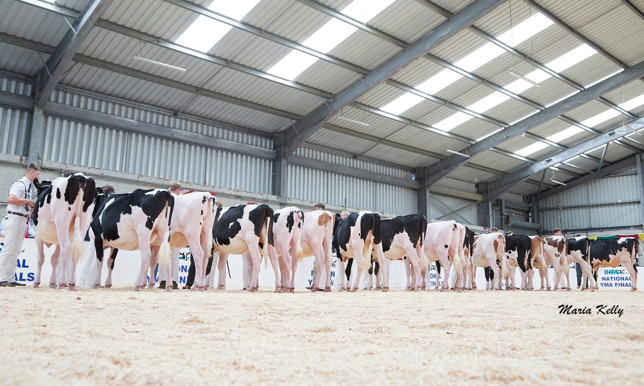 Final line up at the FBD National YMA Finals Image: Maria Kelly