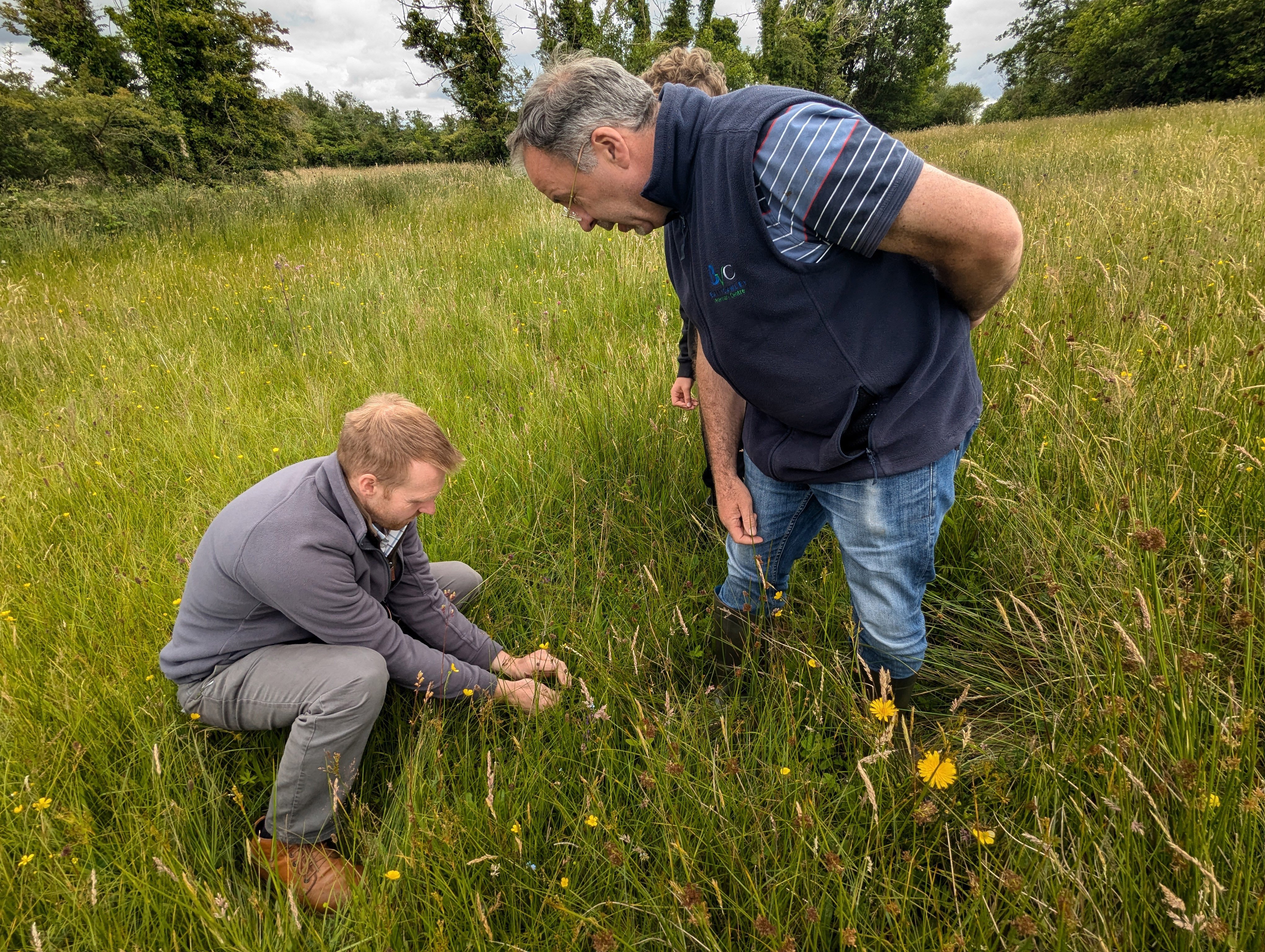 Peter Gallagher, farm facilitator from Ulster Wildlife, who surveyed and assessed Brian Keown’s fields in Garrison, Co. Fermanagh. Image Source: Ulster Wildlife