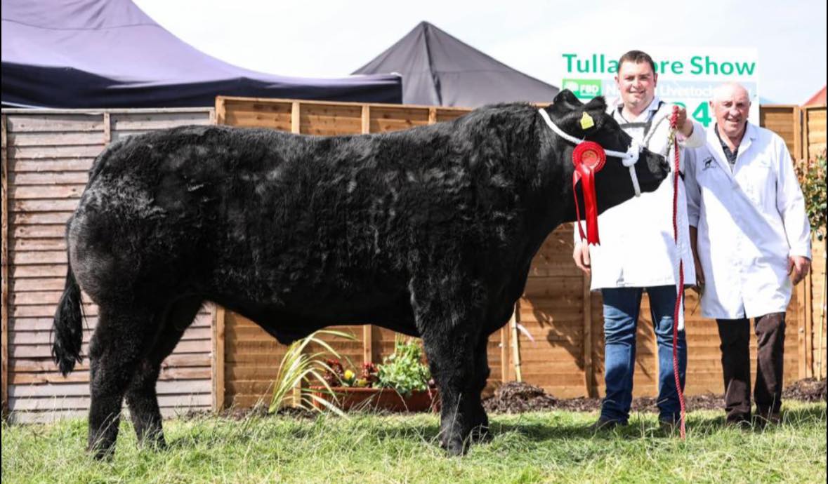 The top price in the sale was €3,280 for a 945kg Limousin bullock owned by Oliver and Jason Stanley from Kells, Co. Meath