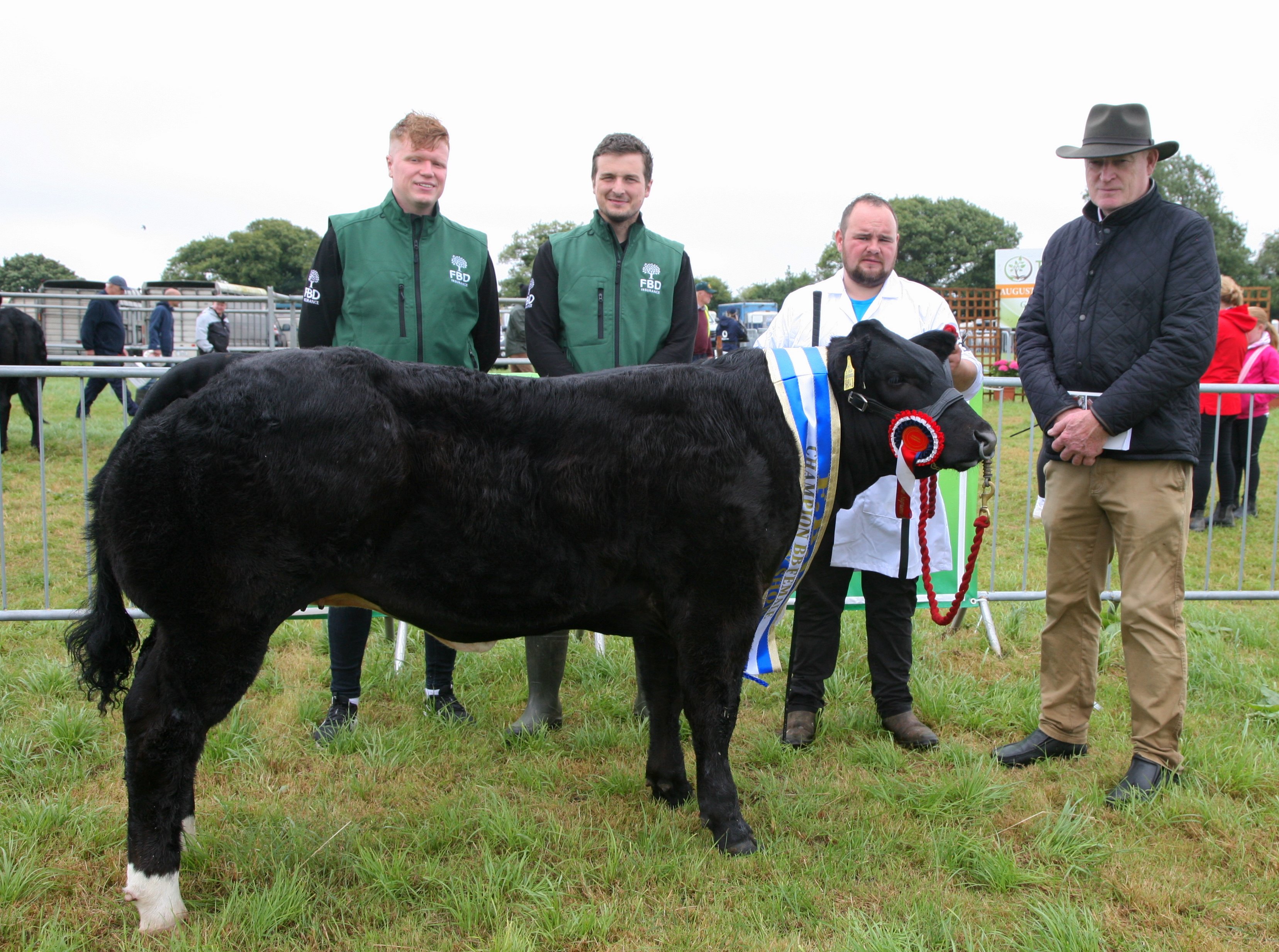 FBD Belgian Blue Crossbred Champion: Billy Dunne, Erril, Co. Laois, Eenneth Garry FBD and Ross Bushe FBD and Patrick Kent, Judge