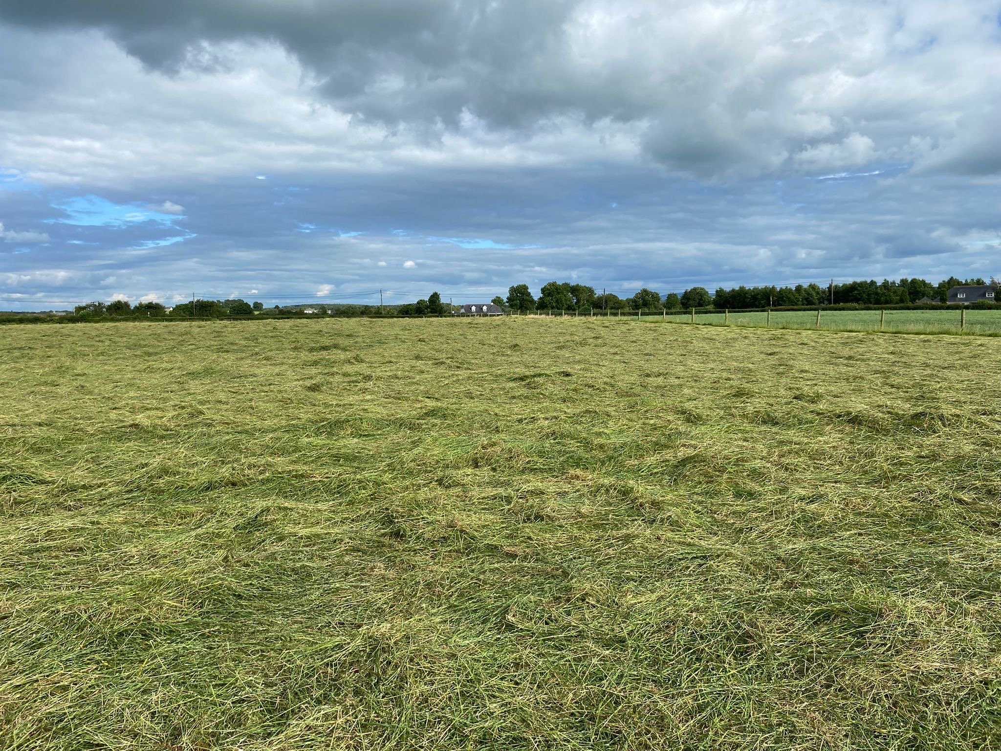 Second-cut silage tedded out