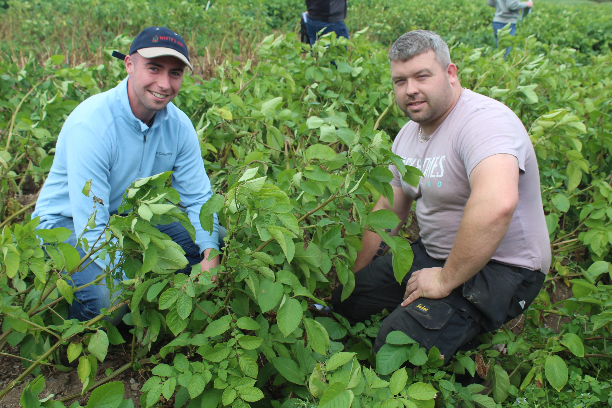 Chatting at the Teagasc potato blight event (l-r:) Cormac Rafferty, White's Agri and Sean Sheehy, Meade Farm Potatoes