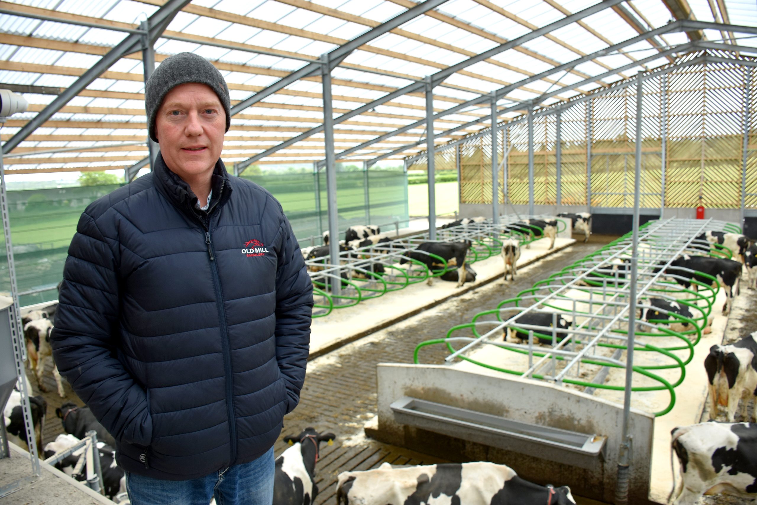 Robert Patton says the cows have settled into the new dairy barn very well and are stress-free