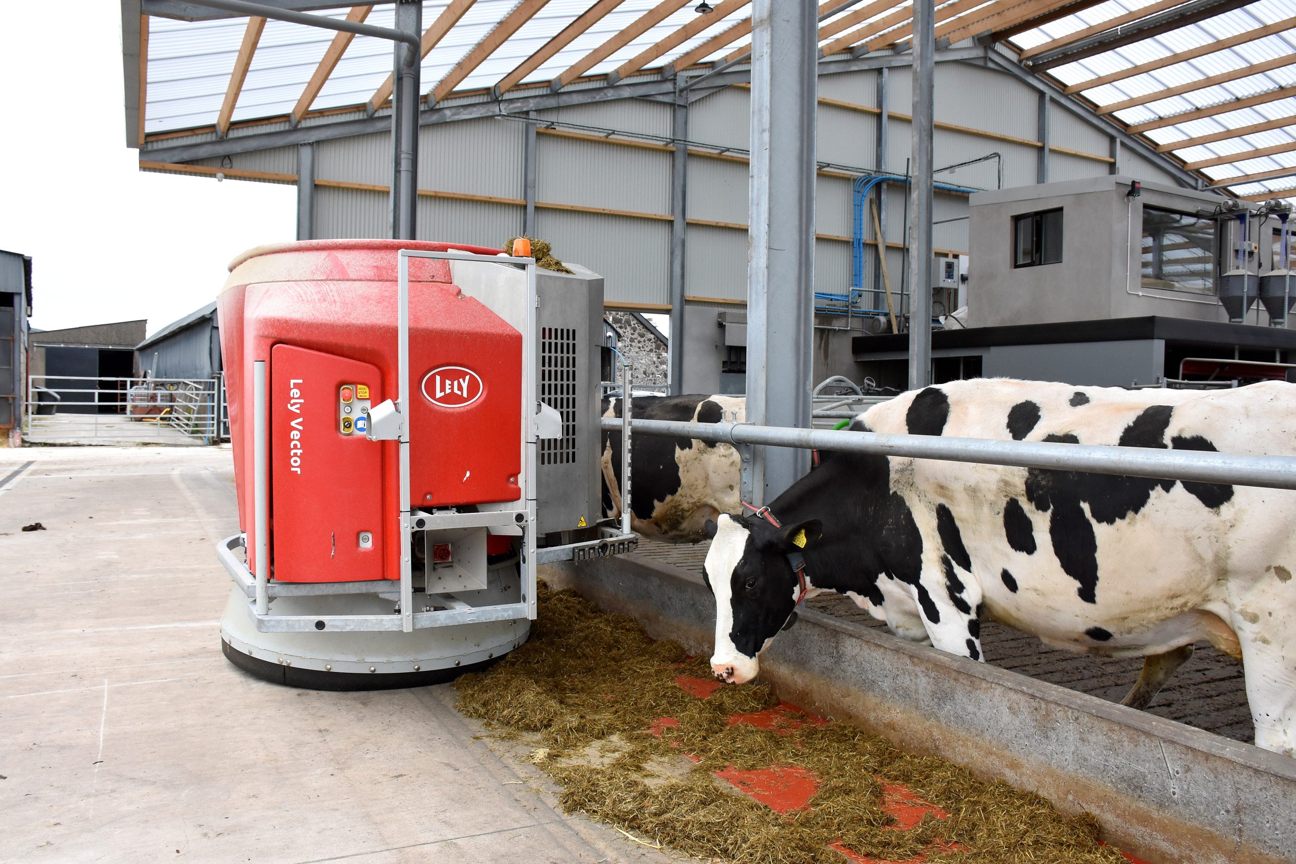 Feed rations are kept topped up by the robotic feeder