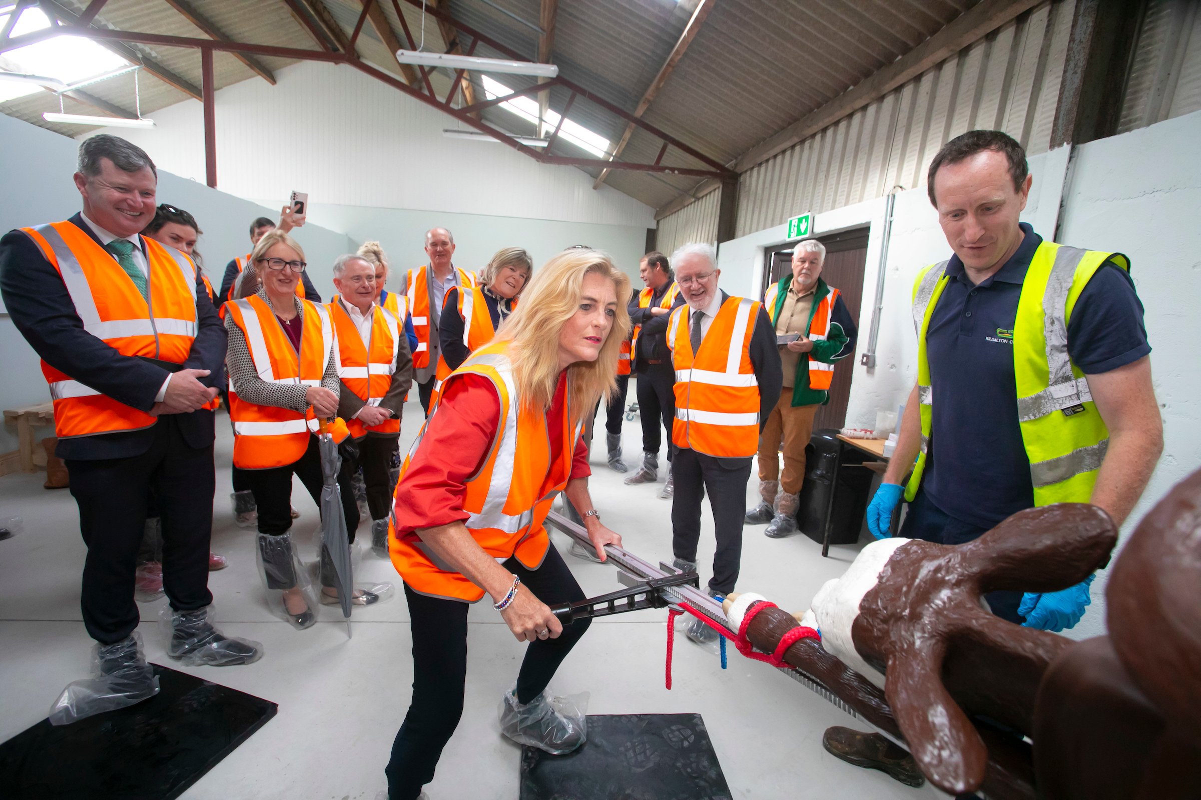 Oireachtas members watch Cynthia Ní Mhurchú, MEP takes part in a calf delivery demonstration. Source: Patrick Browne