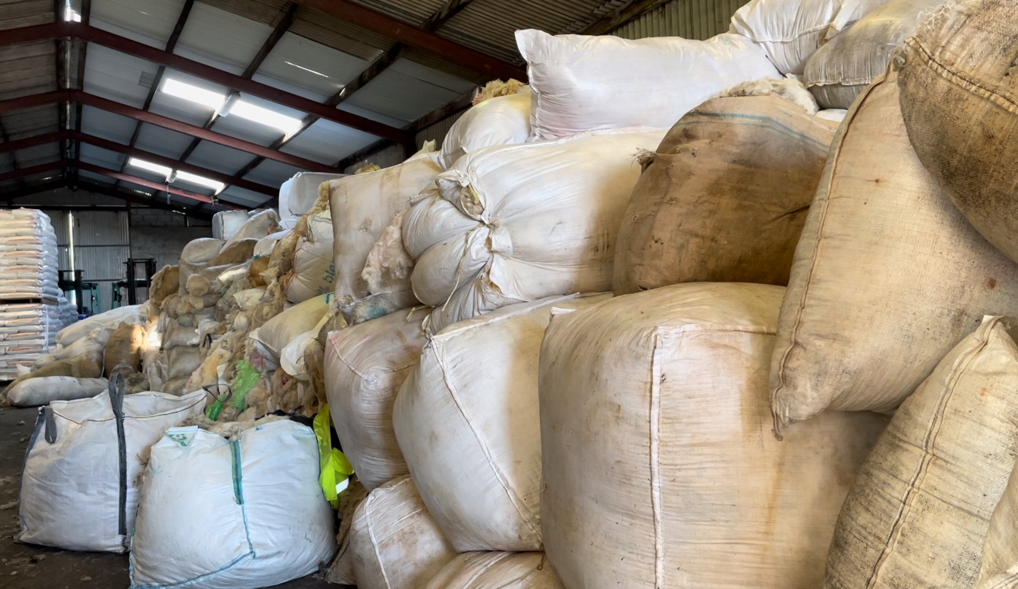 Bags of wool at Kerry Lamb and Wool Co-op