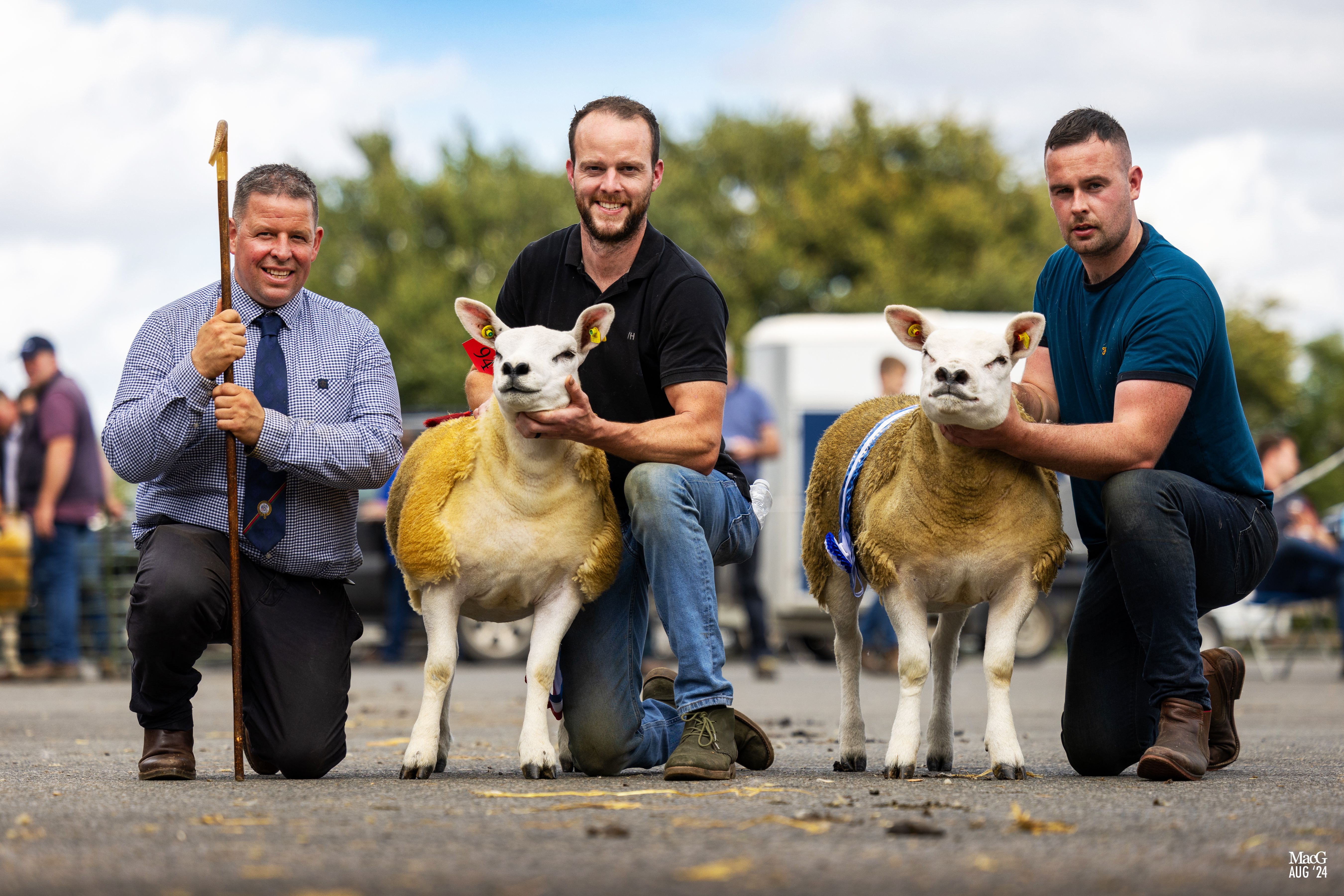 Judge Dye Clark, Barry Farrell with the female champion, and Patrick Murphy with the reserve champion Source: MacGregor Photography via the Irish Texel Sheep Society