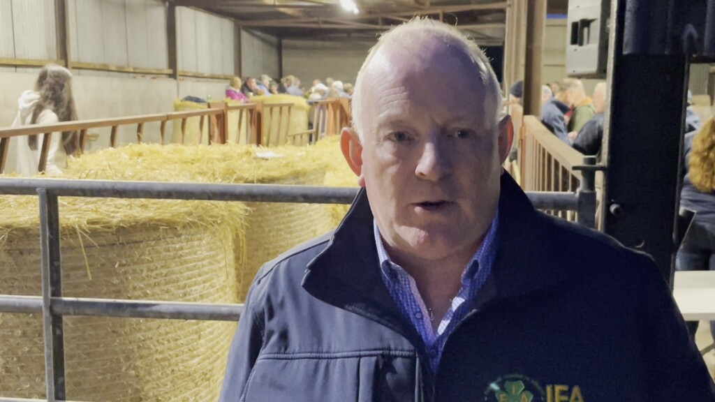 IFA president, Francie Gorman