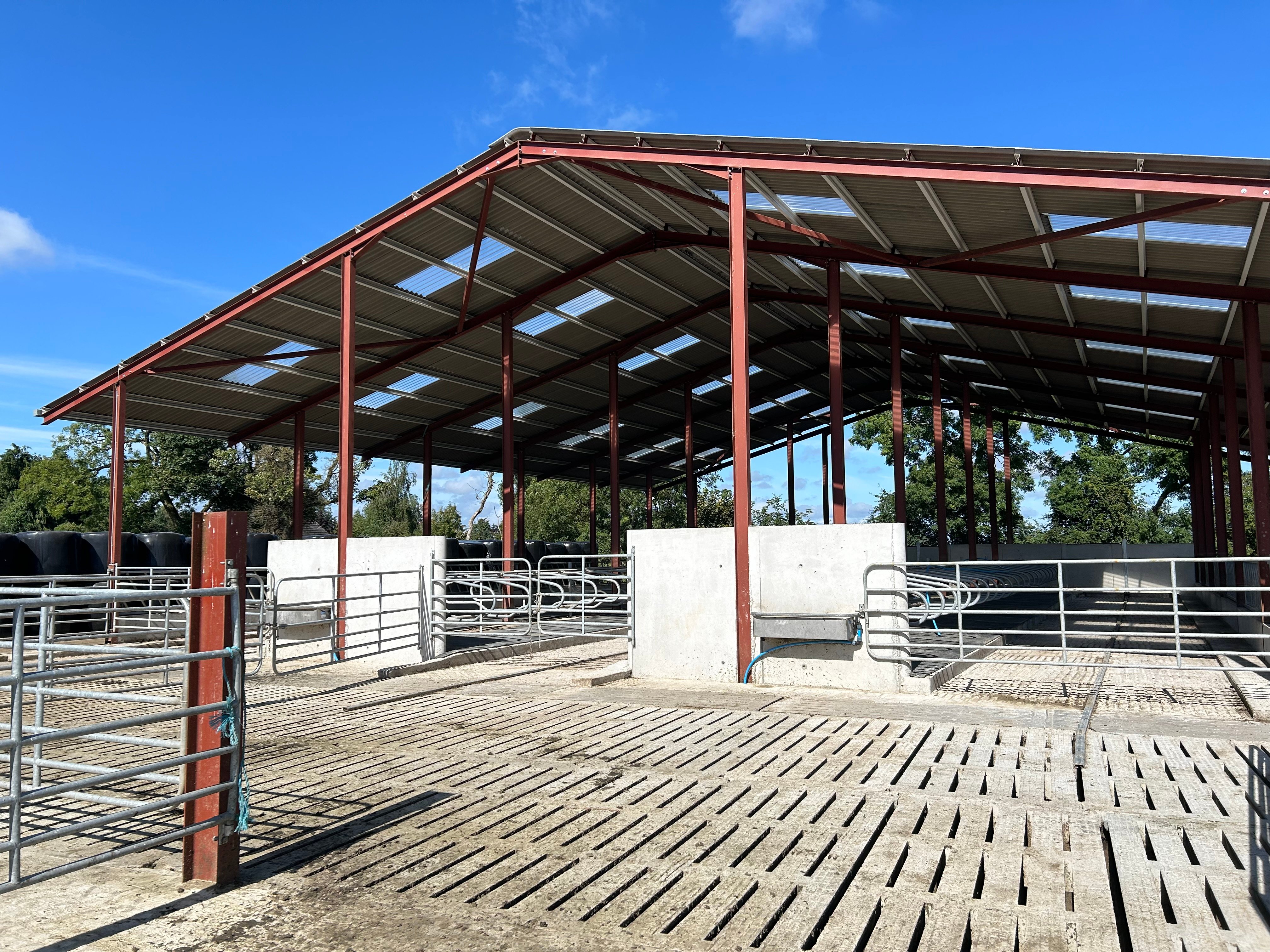 The cubicle shed