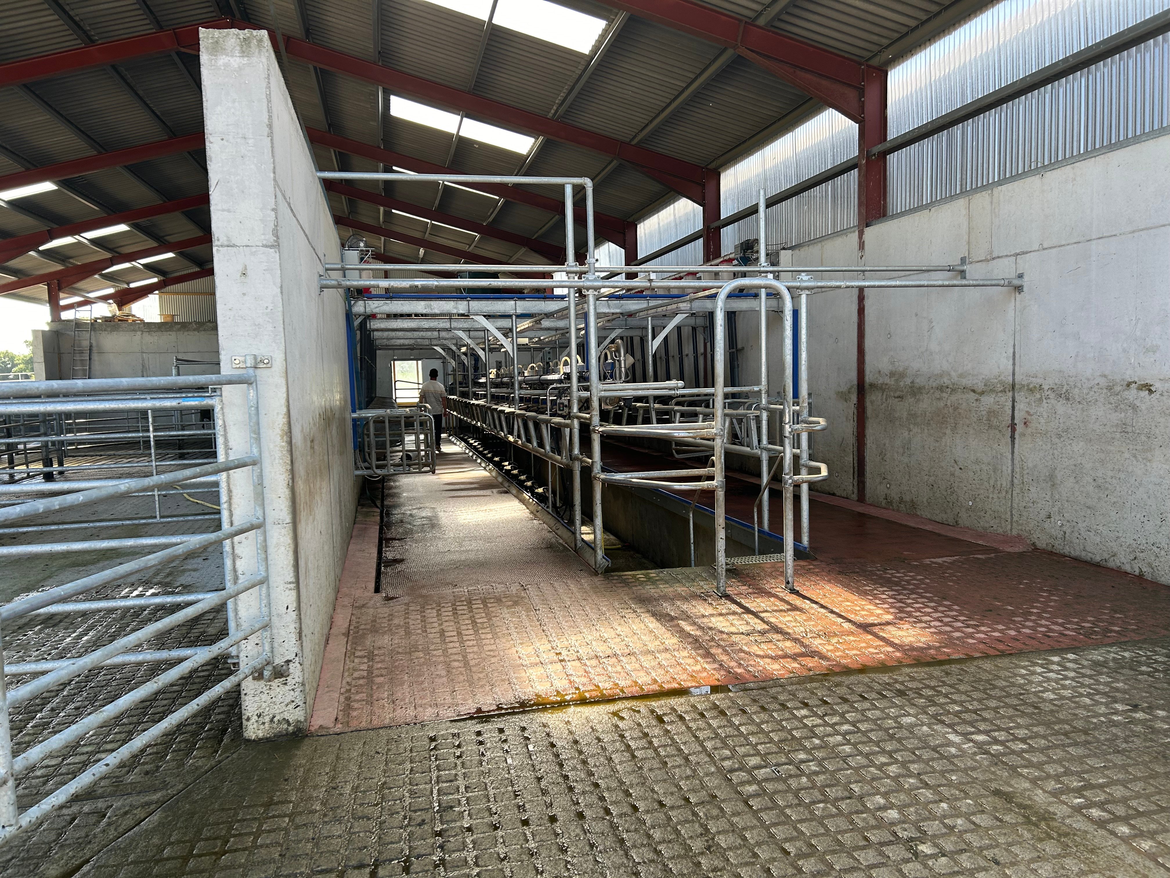 The back of the milking parlour