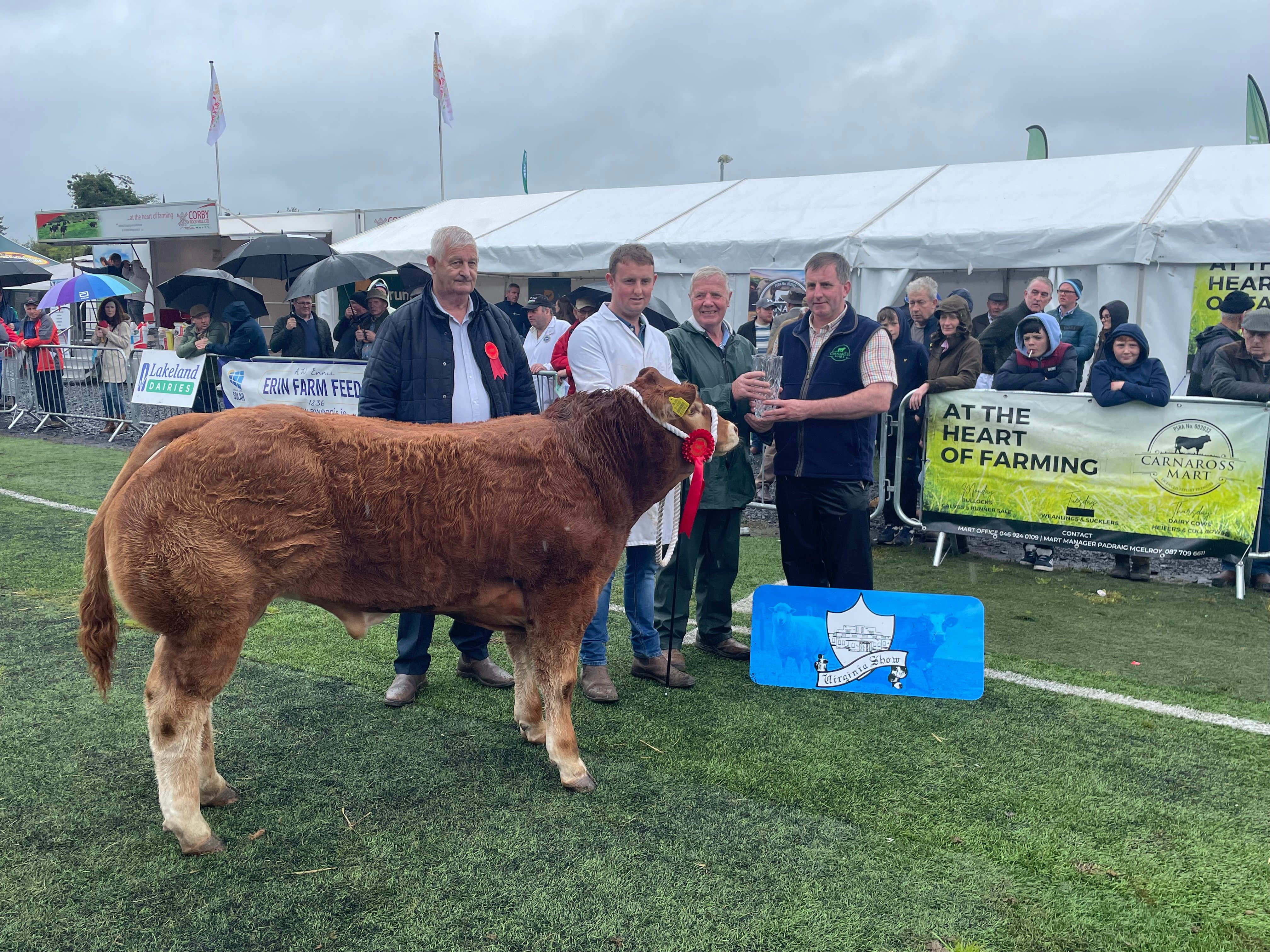 The Carnaross Mart All Ireland Male Weanling Championship winner