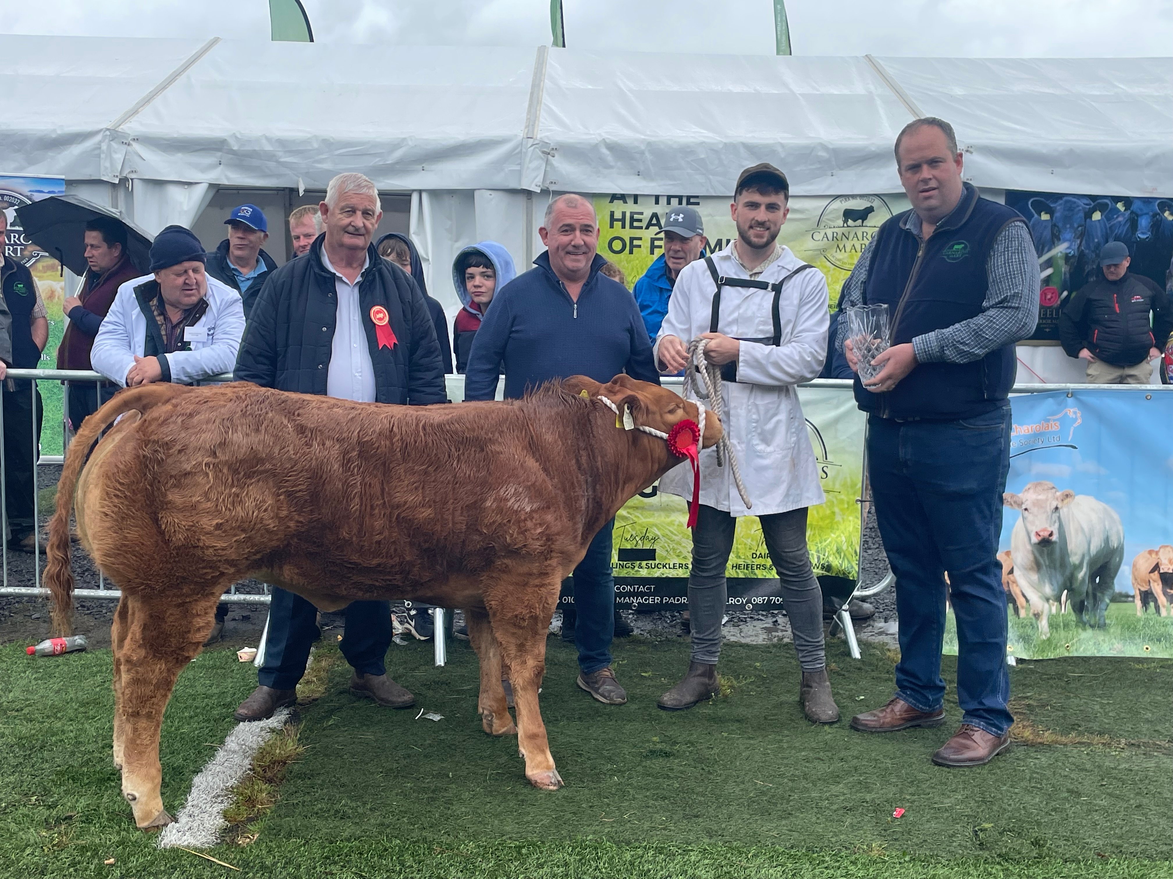The Carnaross Mart All Ireland Female Weanling Championship winner