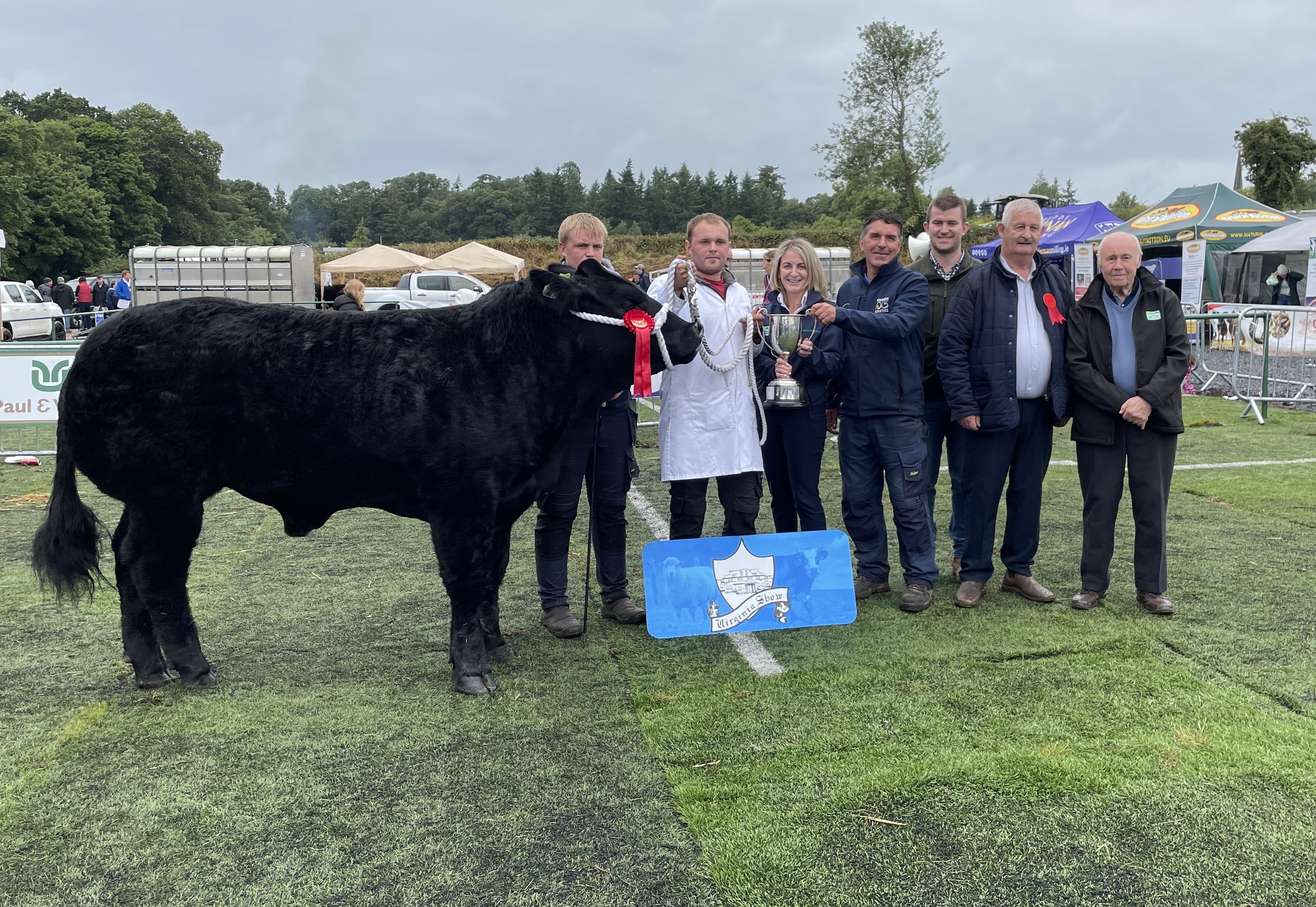 The Liffey Meats Champion Super Beef Bullock