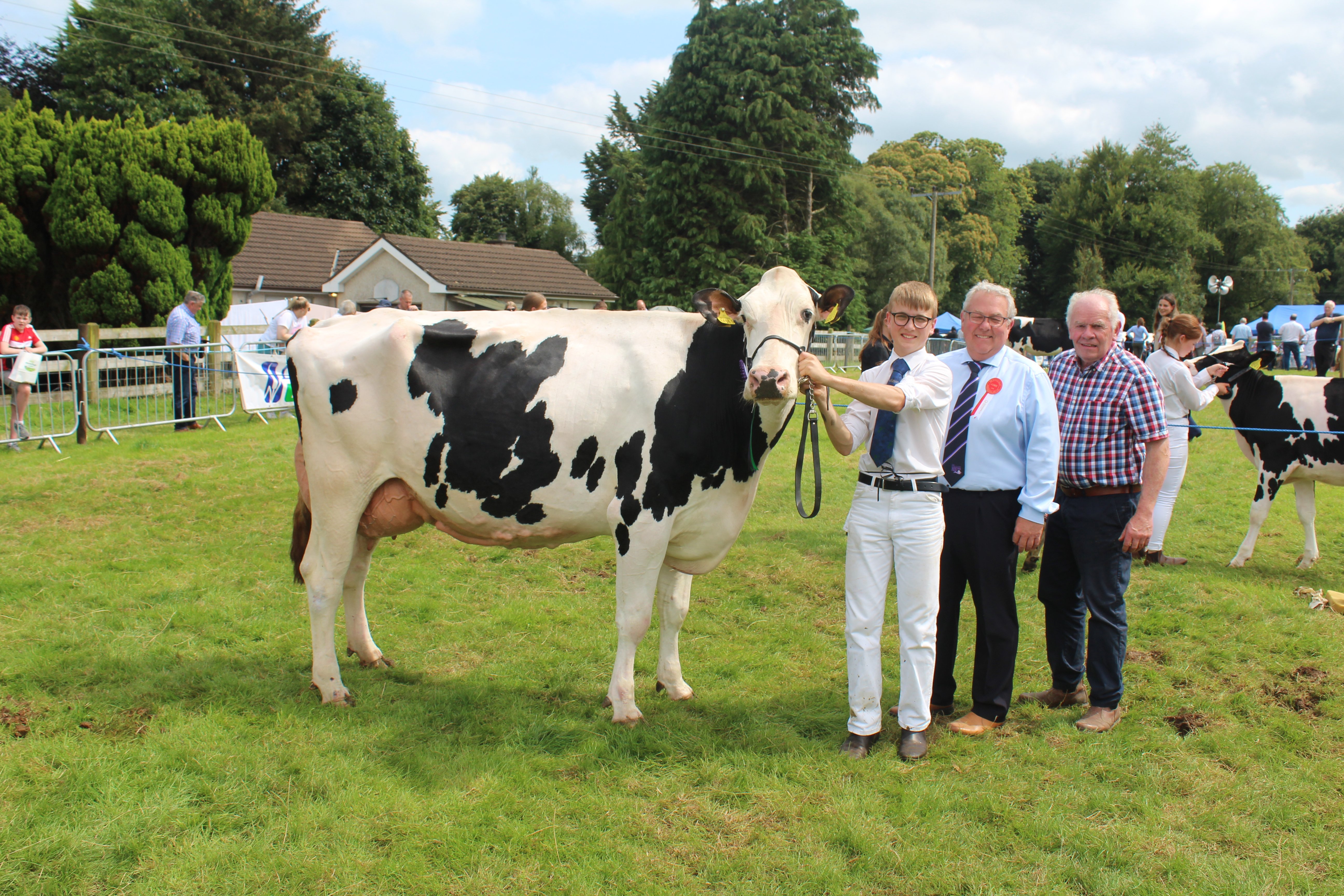 The inter-breed dairy champion at Clogher Valley Show 2024