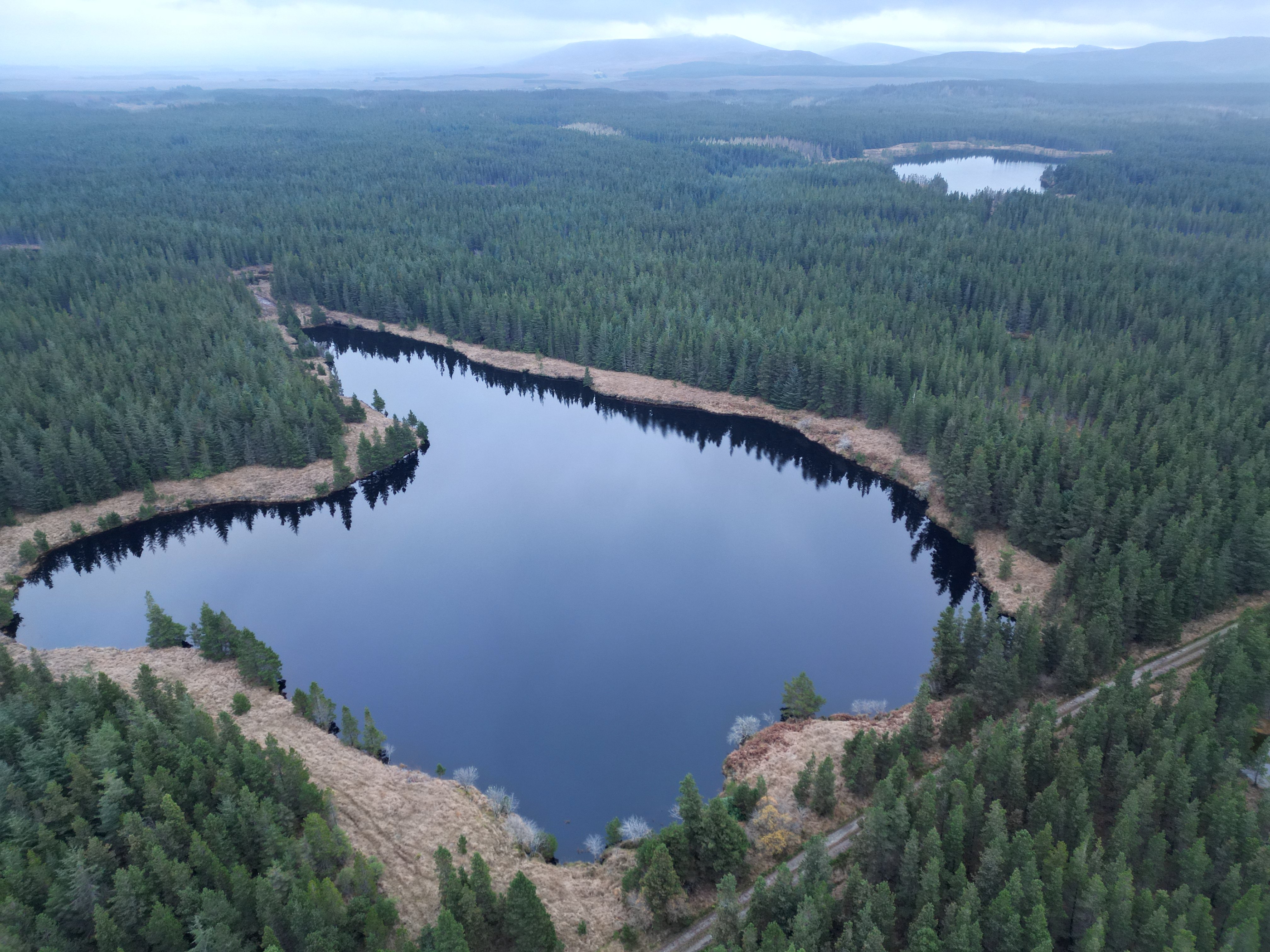 Aerial view of the northern part of Nephin Forest. Image source: Colin Guilfoyle, ATU