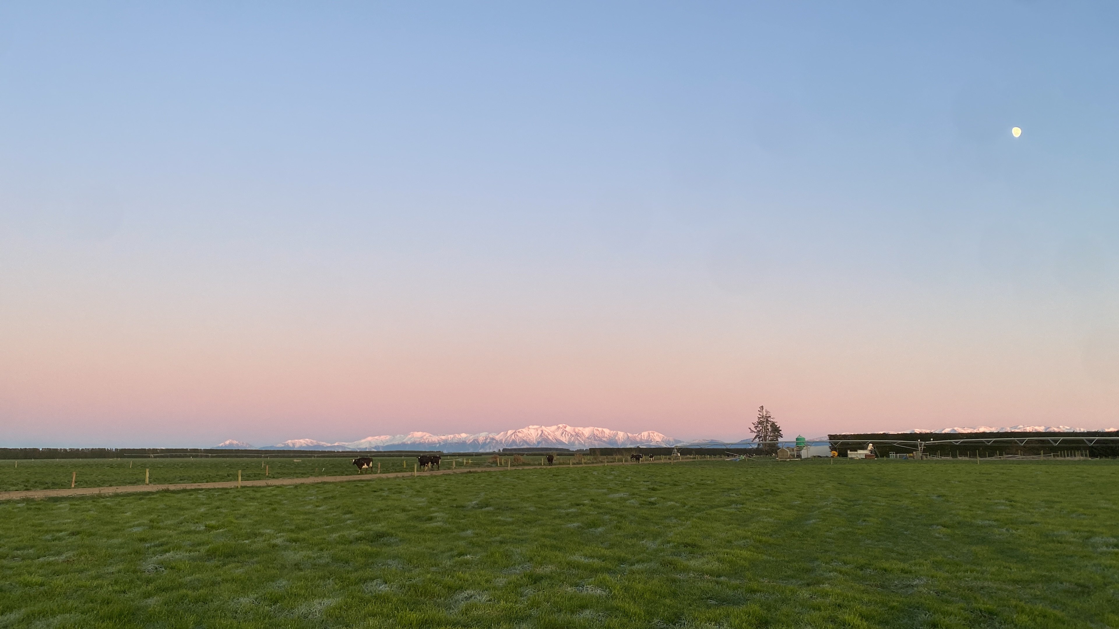 A cold spring morning in Dunsandel, Canterbury, New Zealand