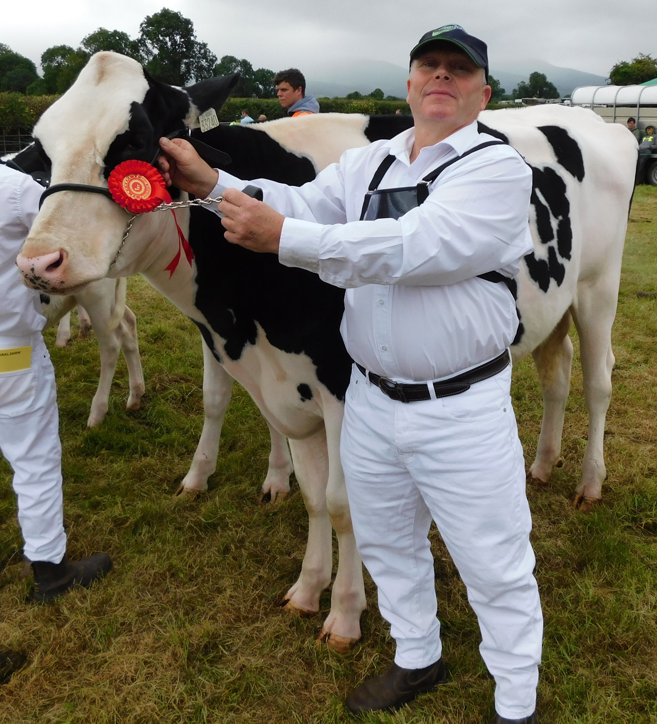 Owen Cleary from Borrisokane was the winner of the Best Dairy Heifer. Image source: Martin Quinn